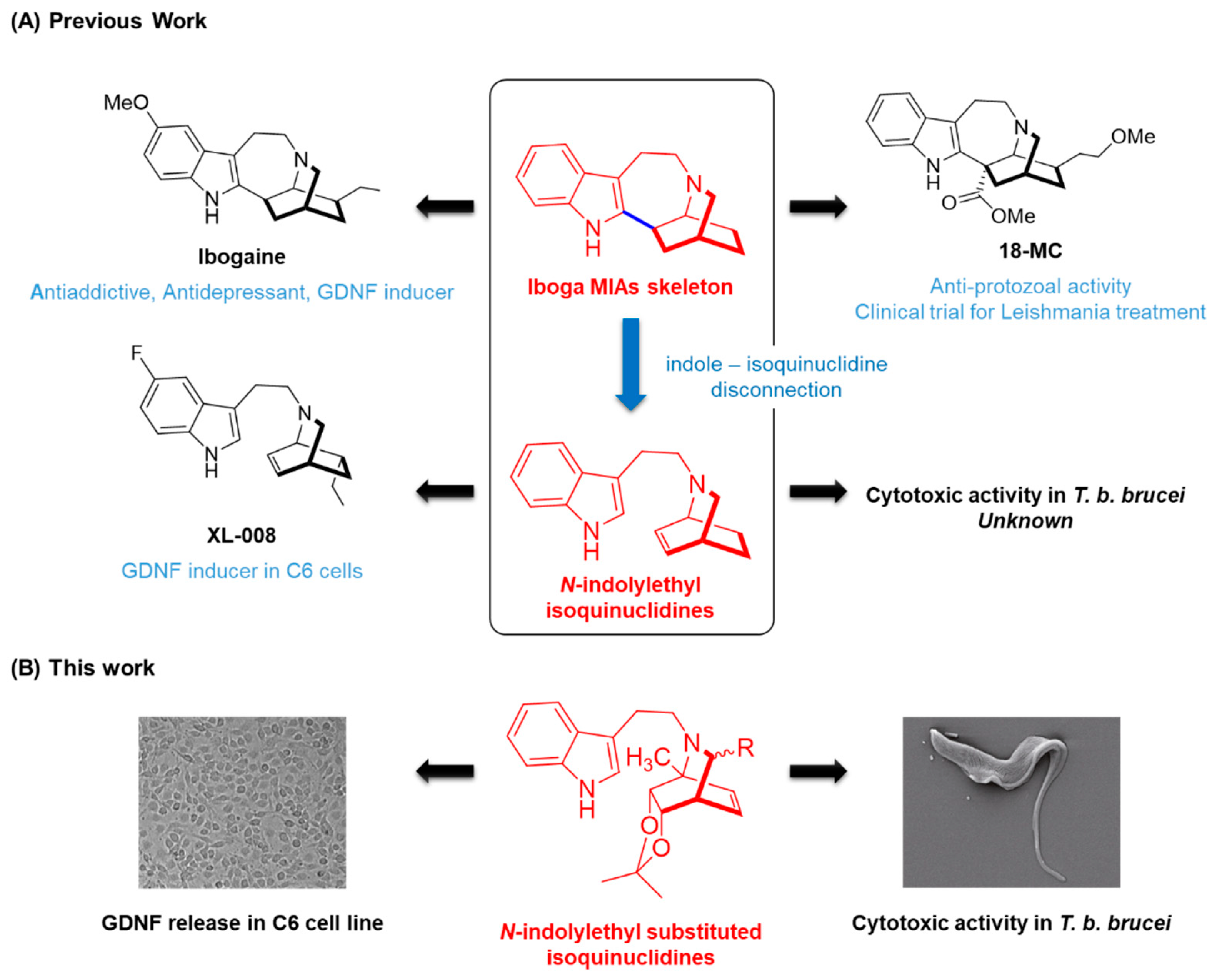 Molecules 27 00829 g001 Molecules 27 00829 g001