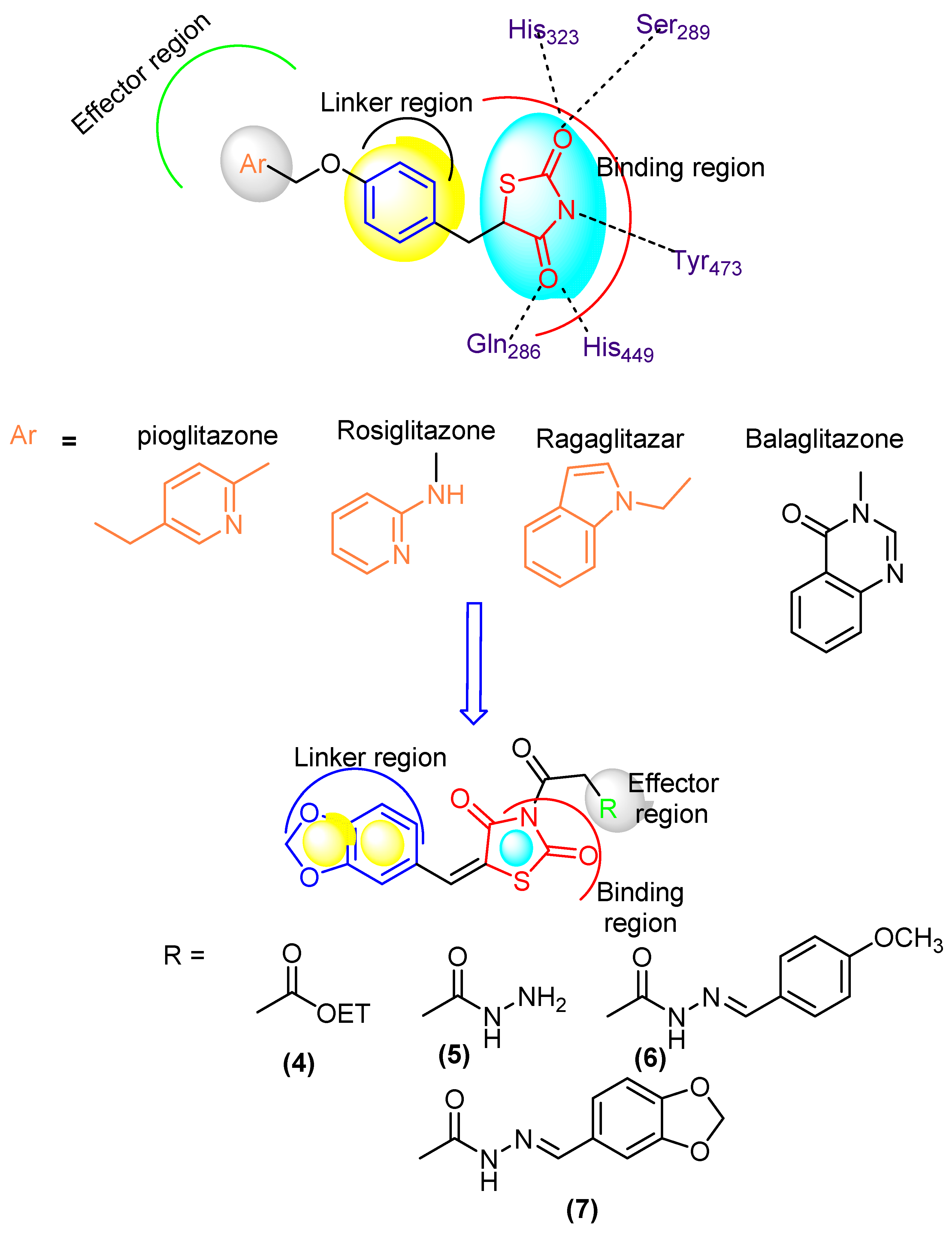 Molecules 27 00830 g001