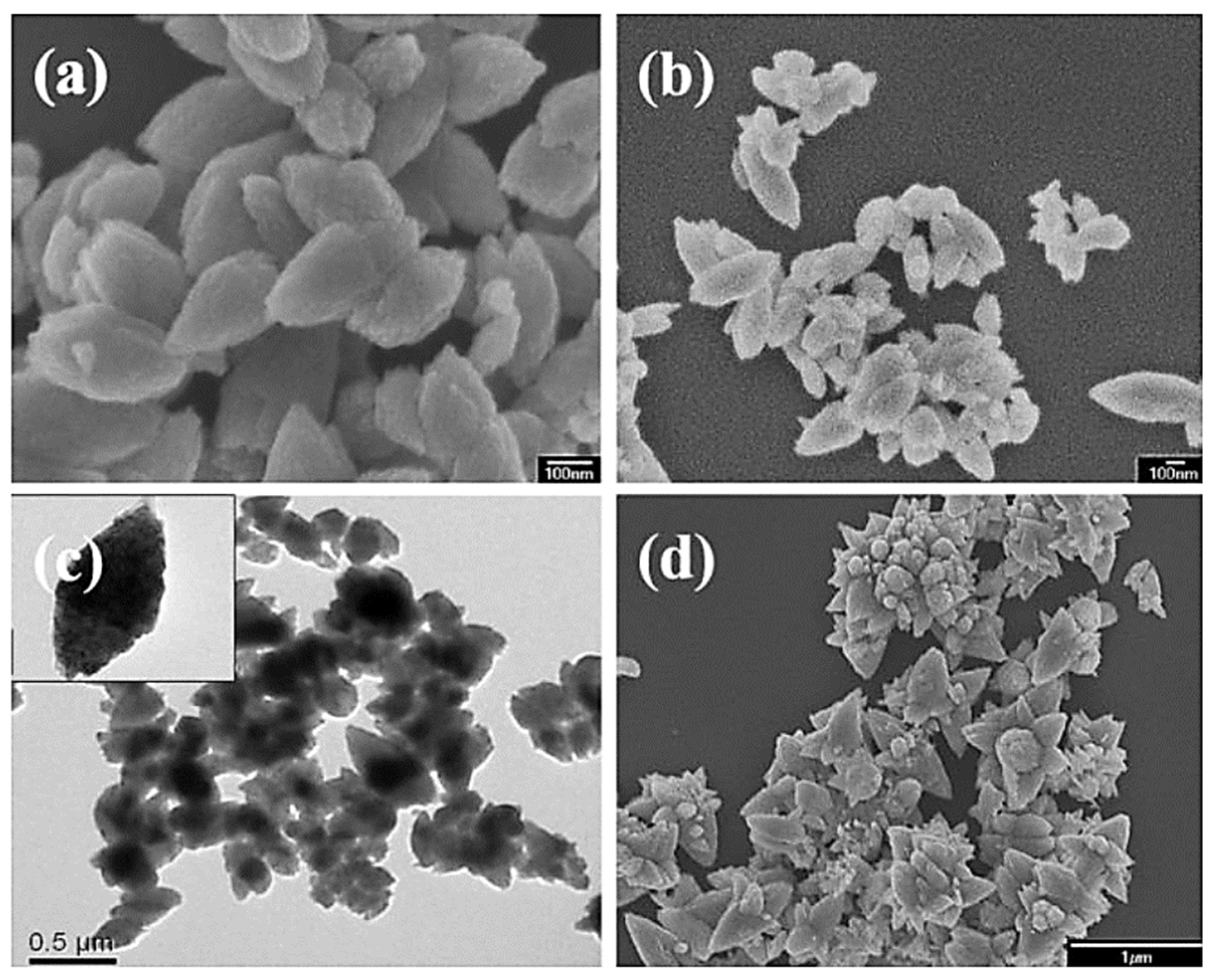 Molecules 27 00833 g003