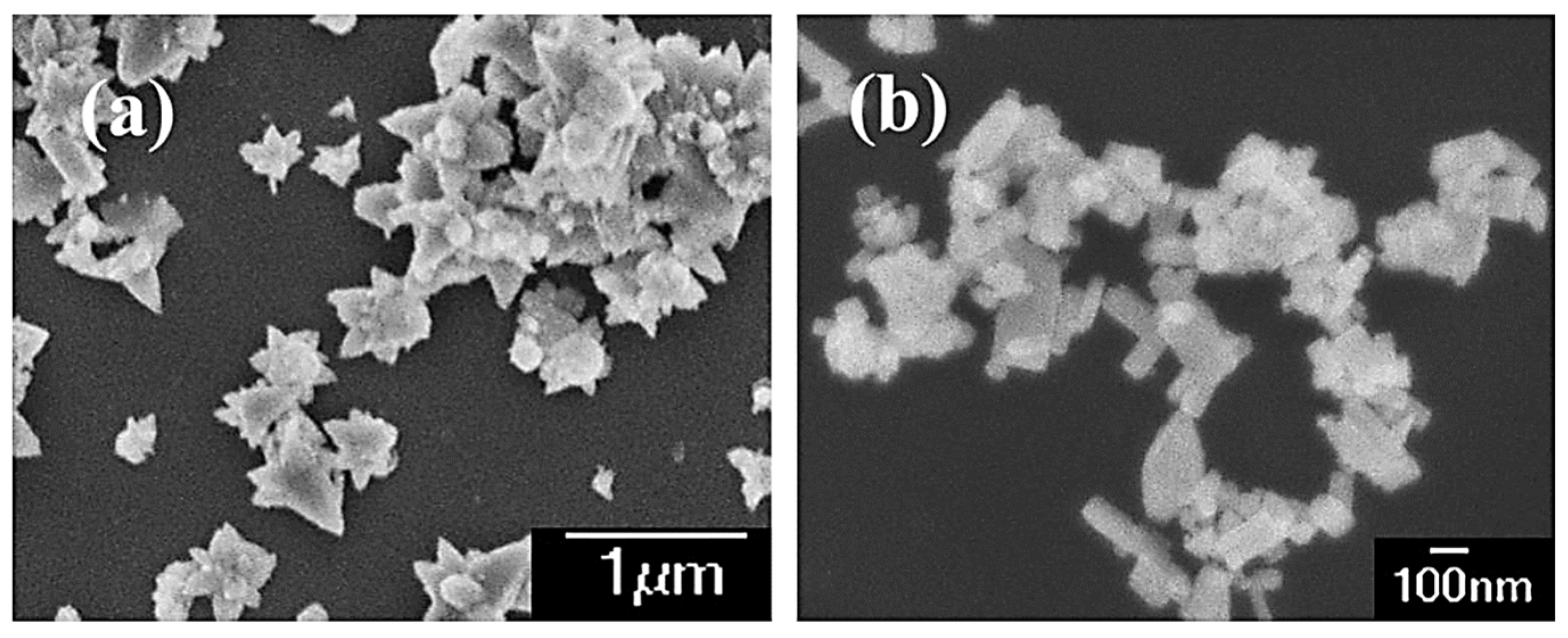 Molecules 27 00833 g005