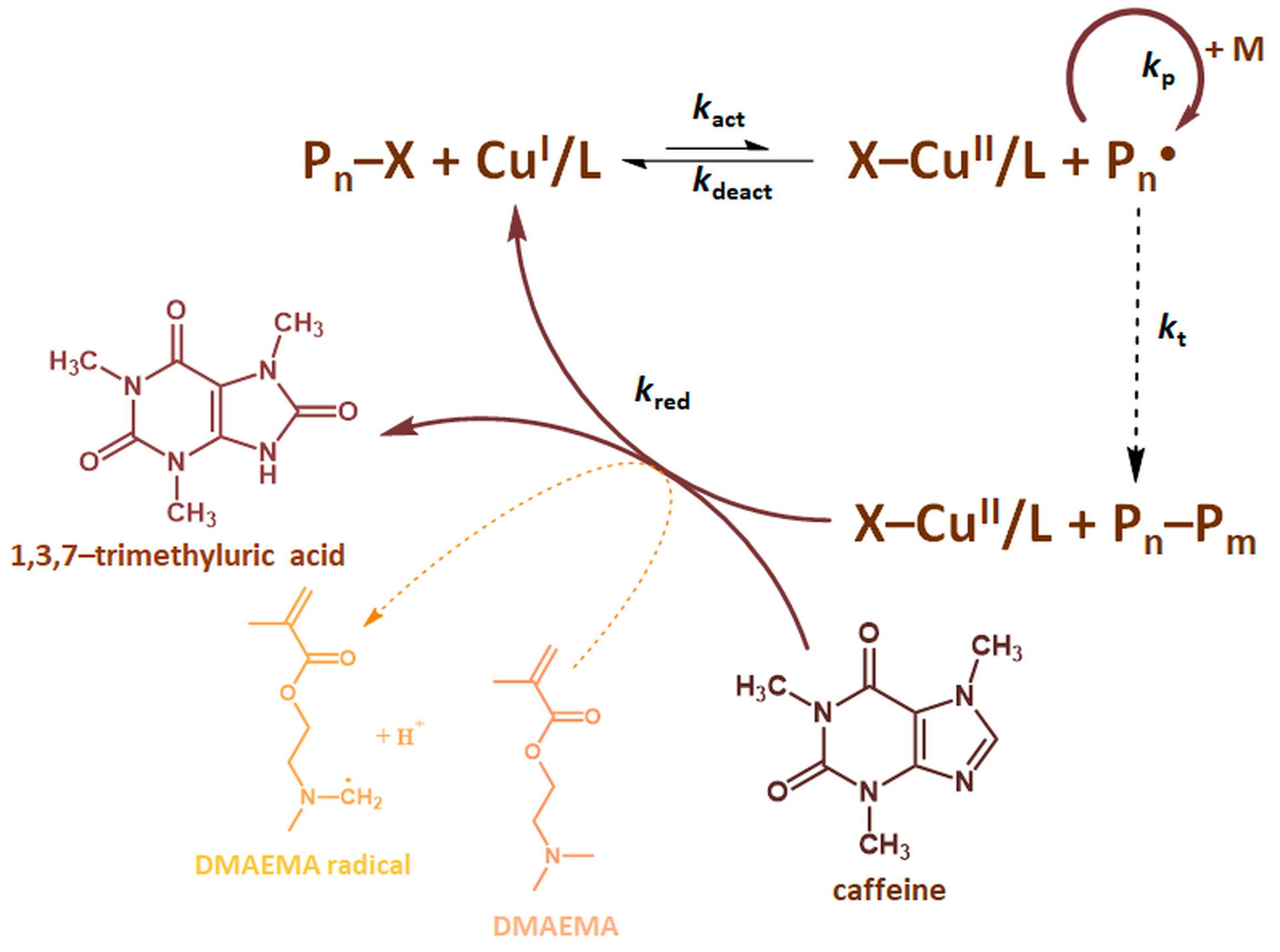 Molecules 27 00840 g001