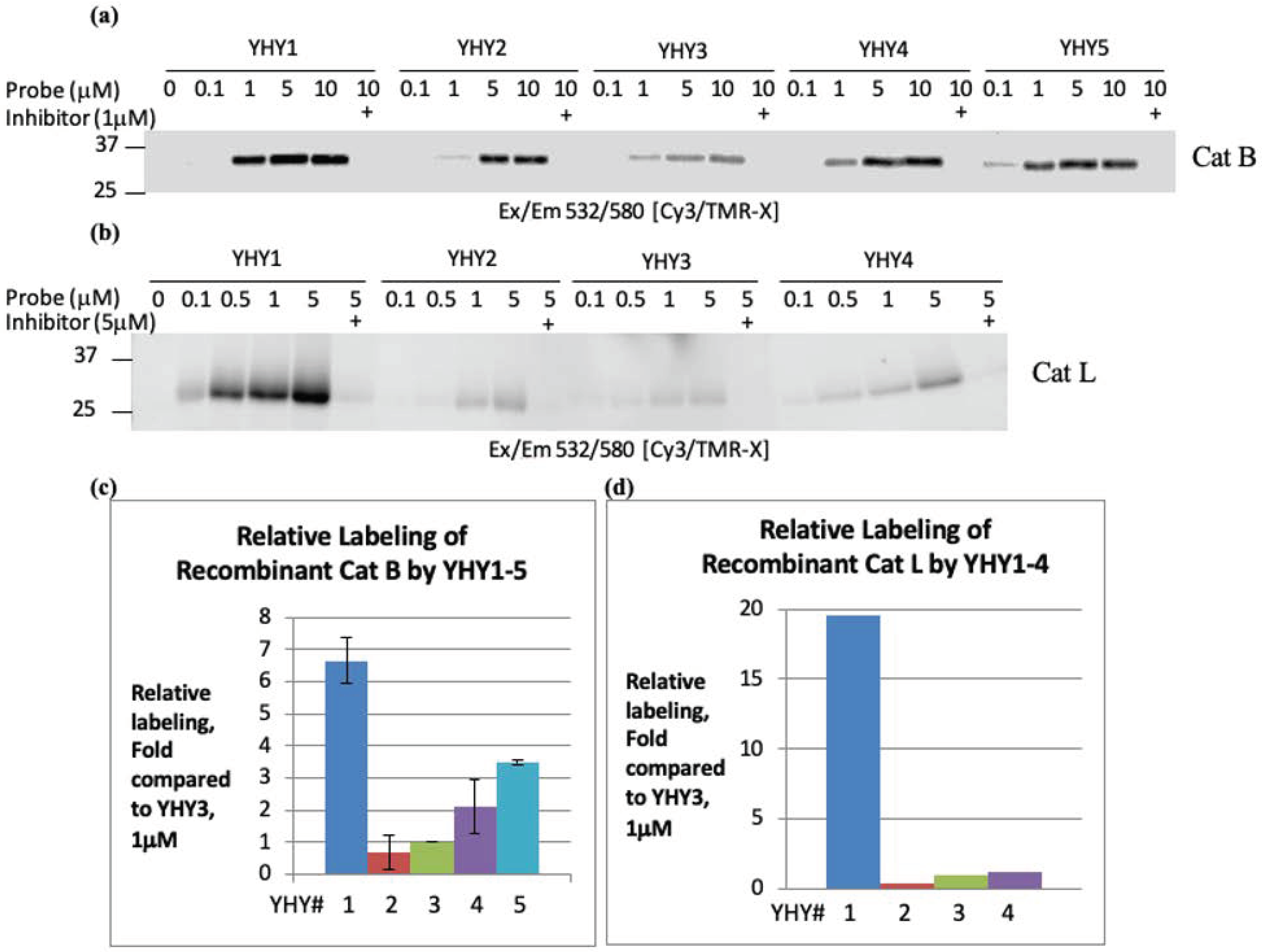 Molecules 27 00842 g001