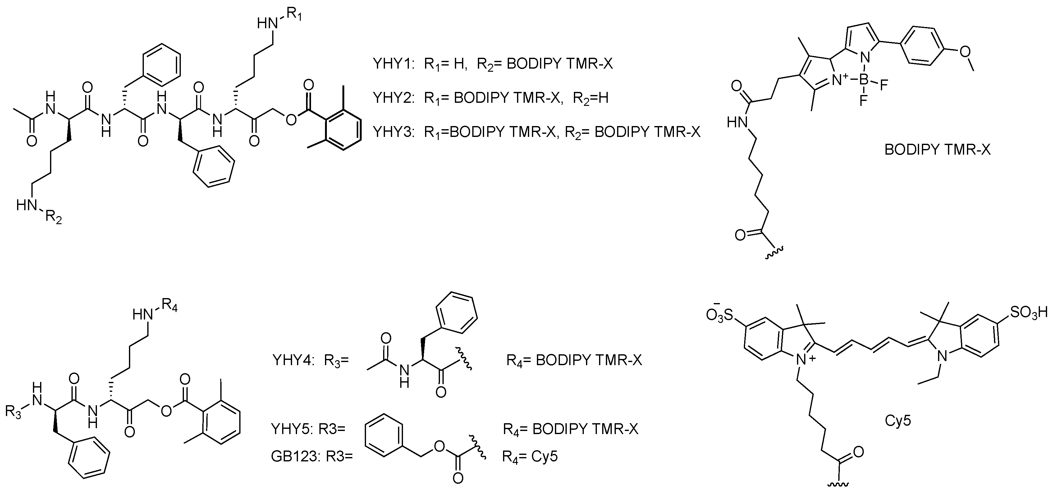 Molecules 27 00842 sch001