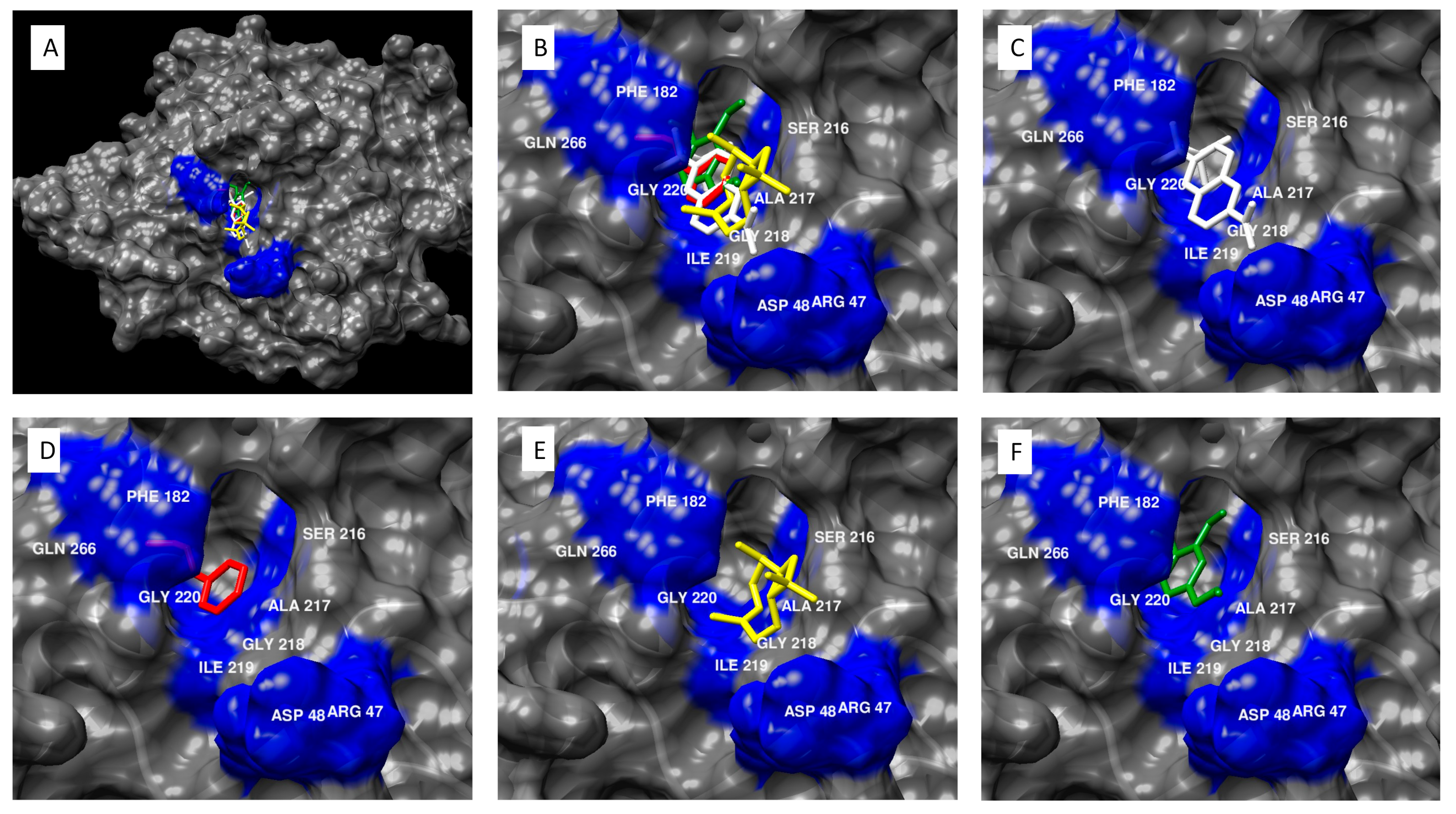 Molecules 27 00853 g002