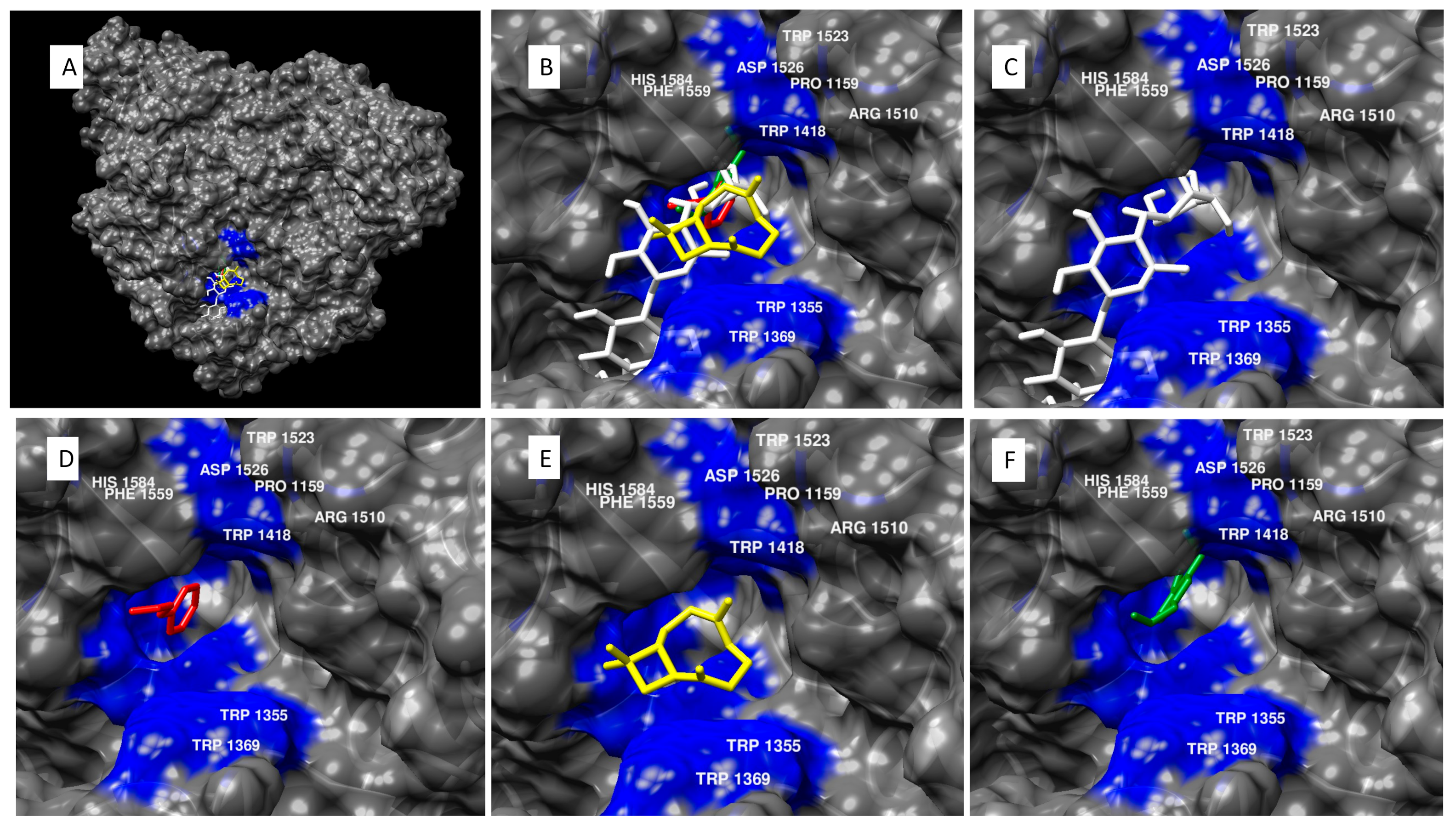 Molecules 27 00853 g003