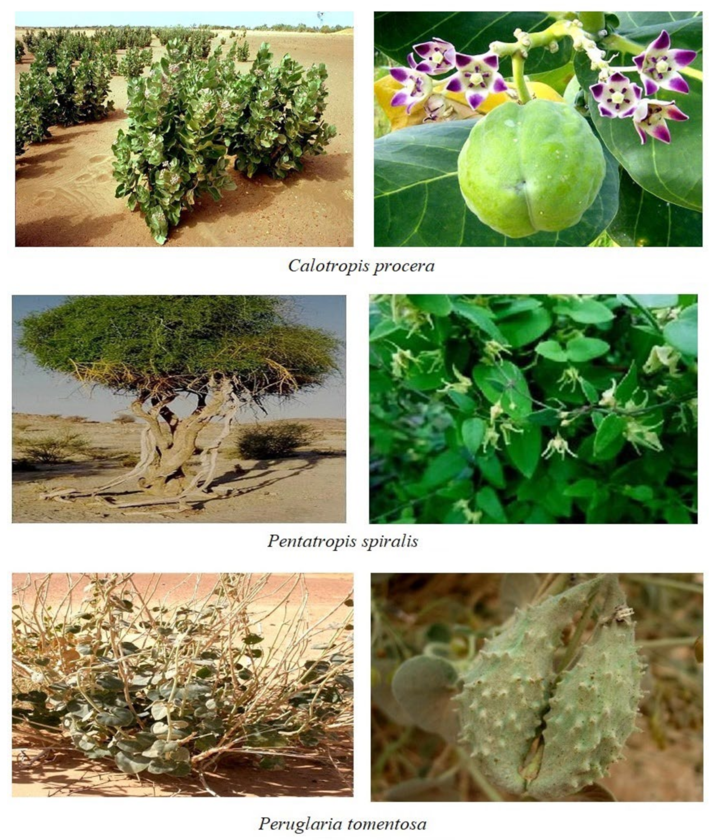 Molecules 27 00859 g001