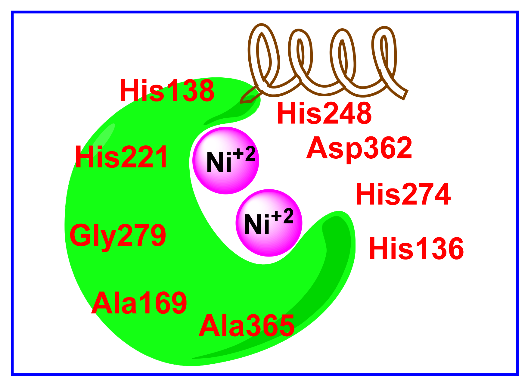 Molecules 27 00865 g001