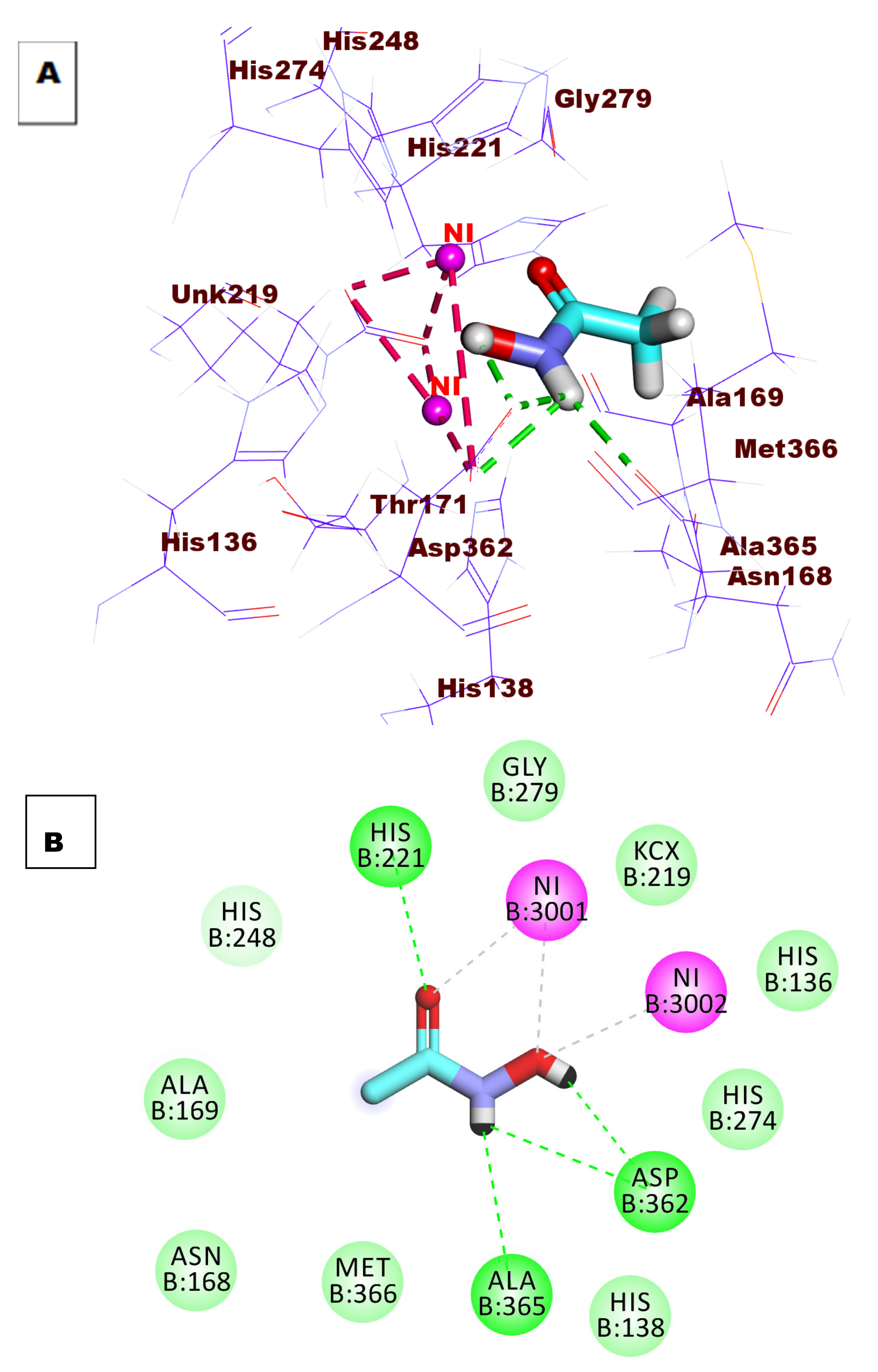 Molecules 27 00865 g008