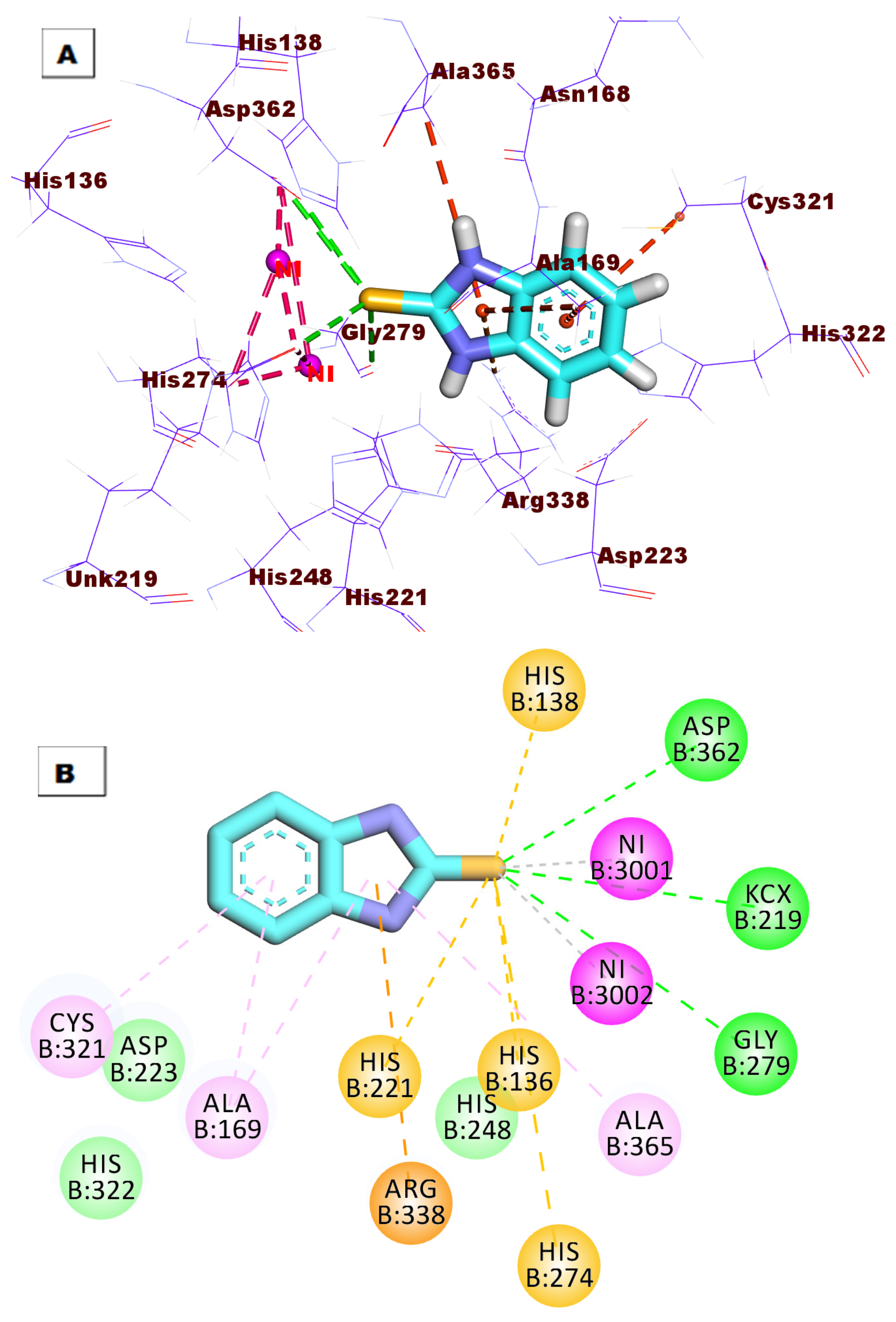 Molecules 27 00865 g010