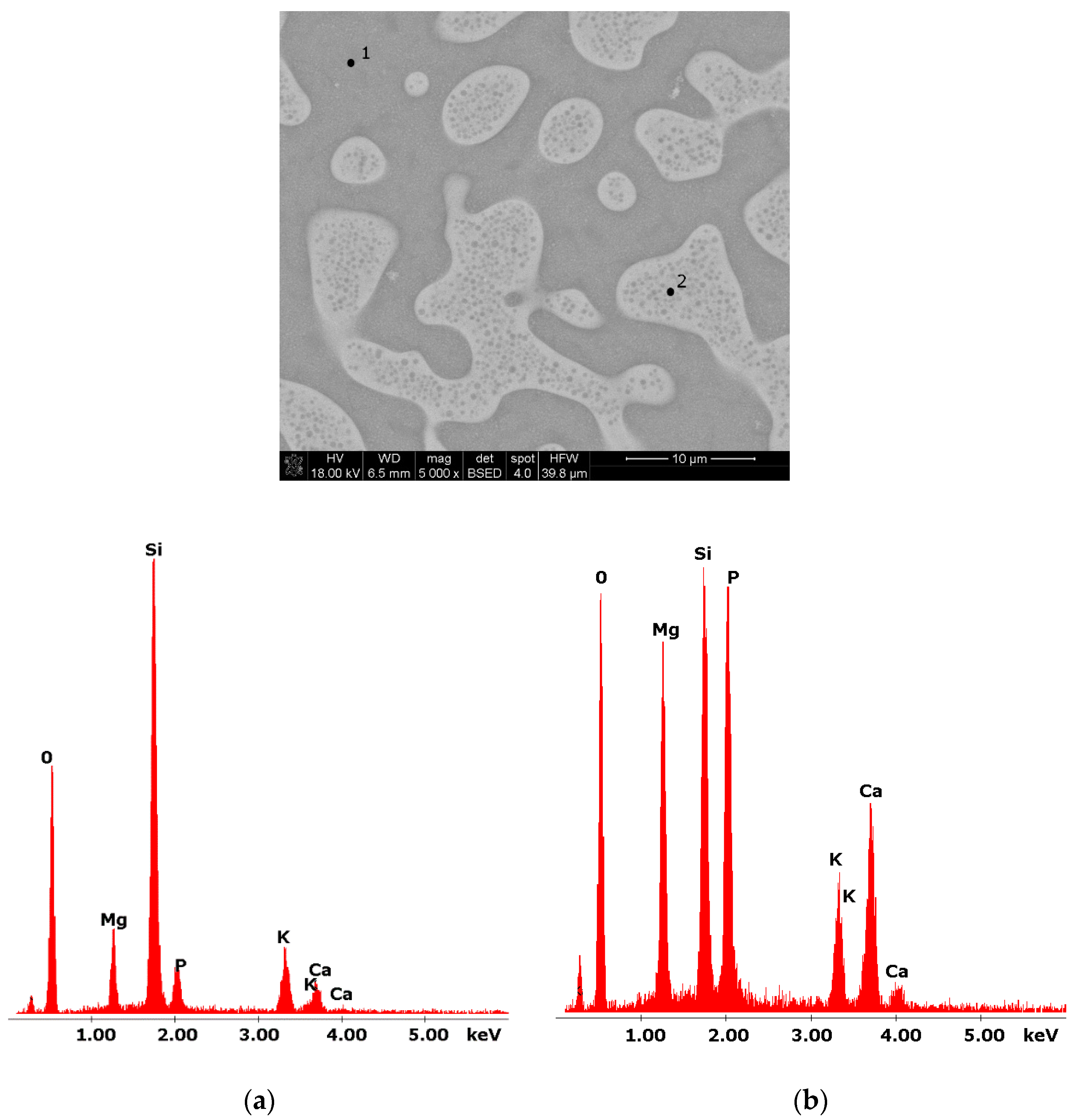 Molecules 27 00867 g002