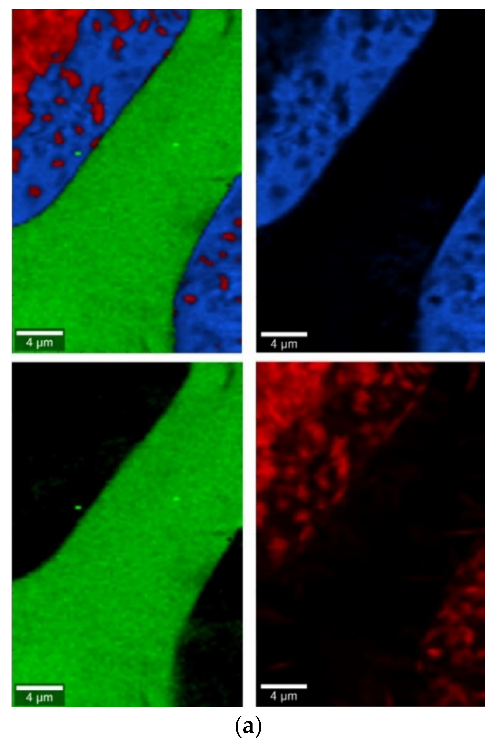 Molecules 27 00867 g010a