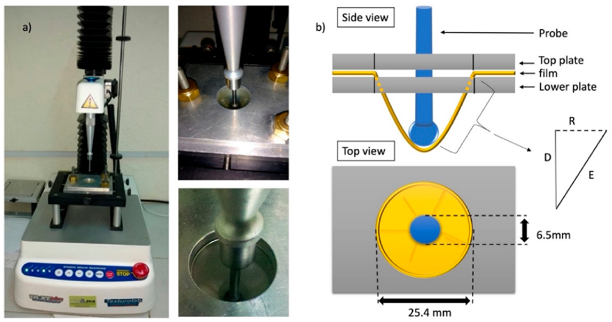 Molecules 27 00869 g004