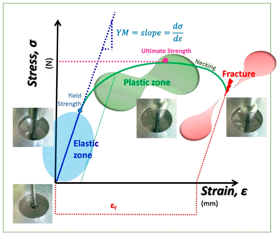 Molecules 27 00869 g005