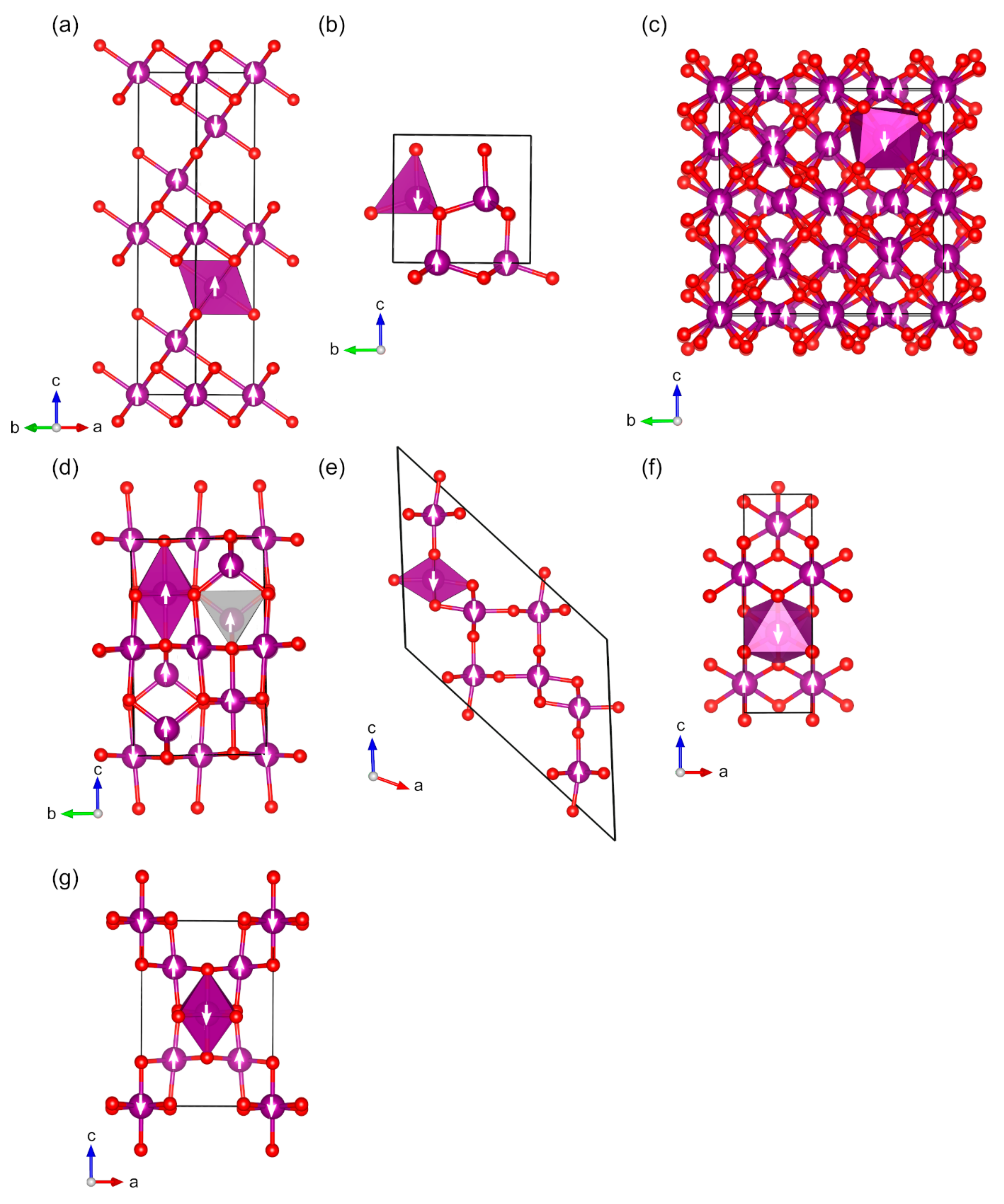 Molecules 27 00874 g005