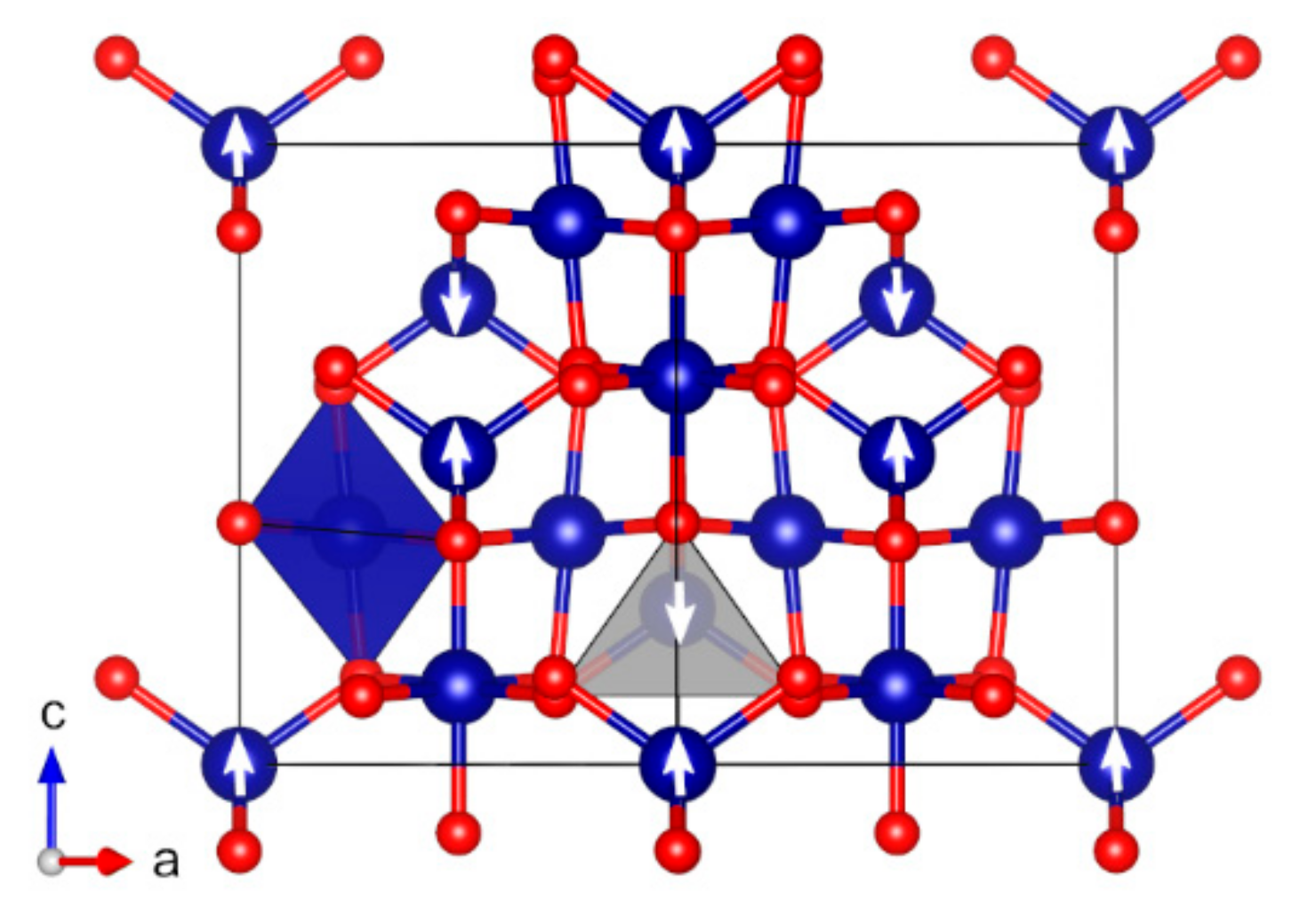 Molecules 27 00874 g007