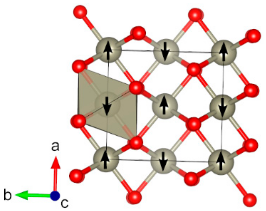 Molecules 27 00874 g010