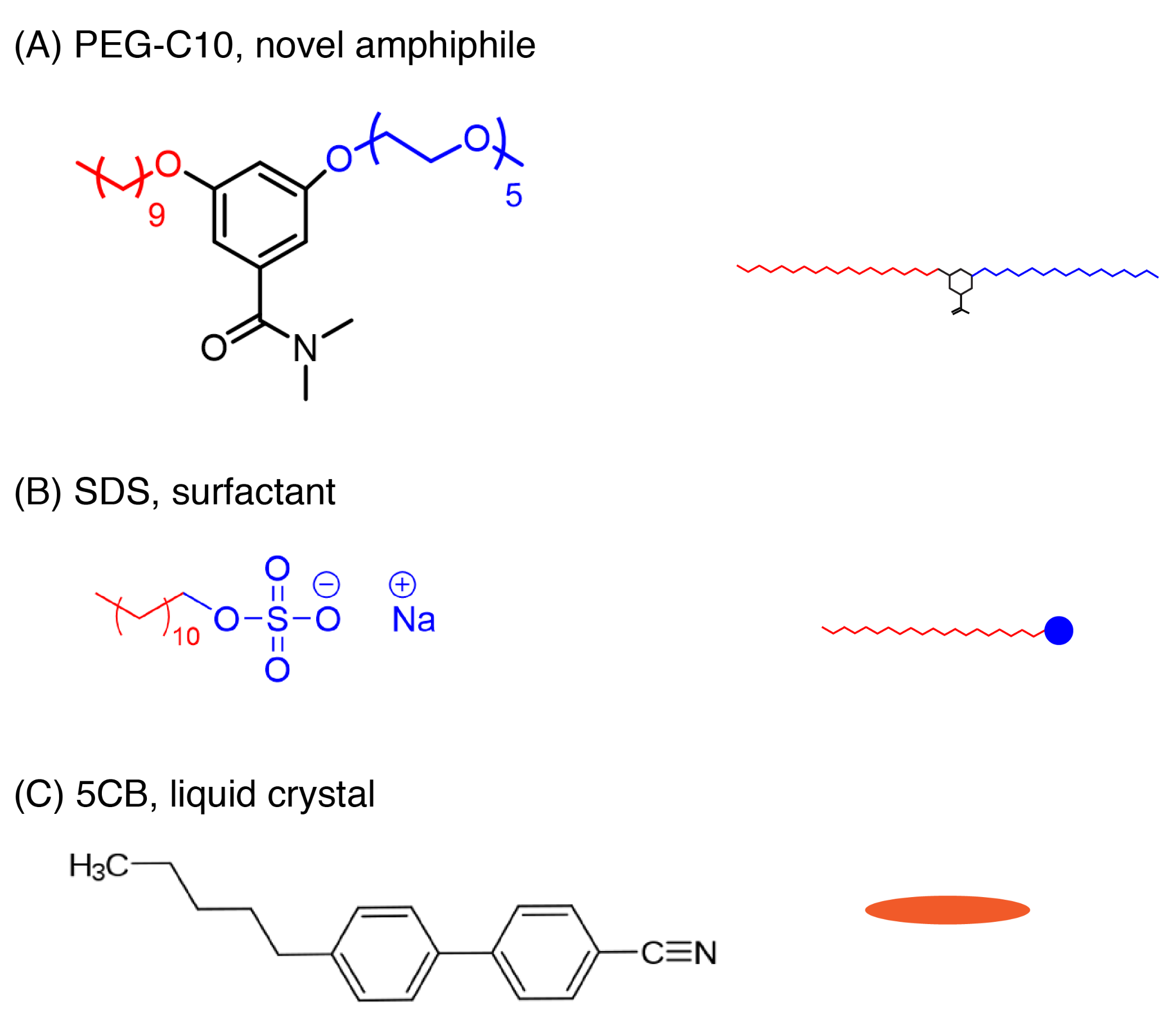Molecules 27 00878 g001