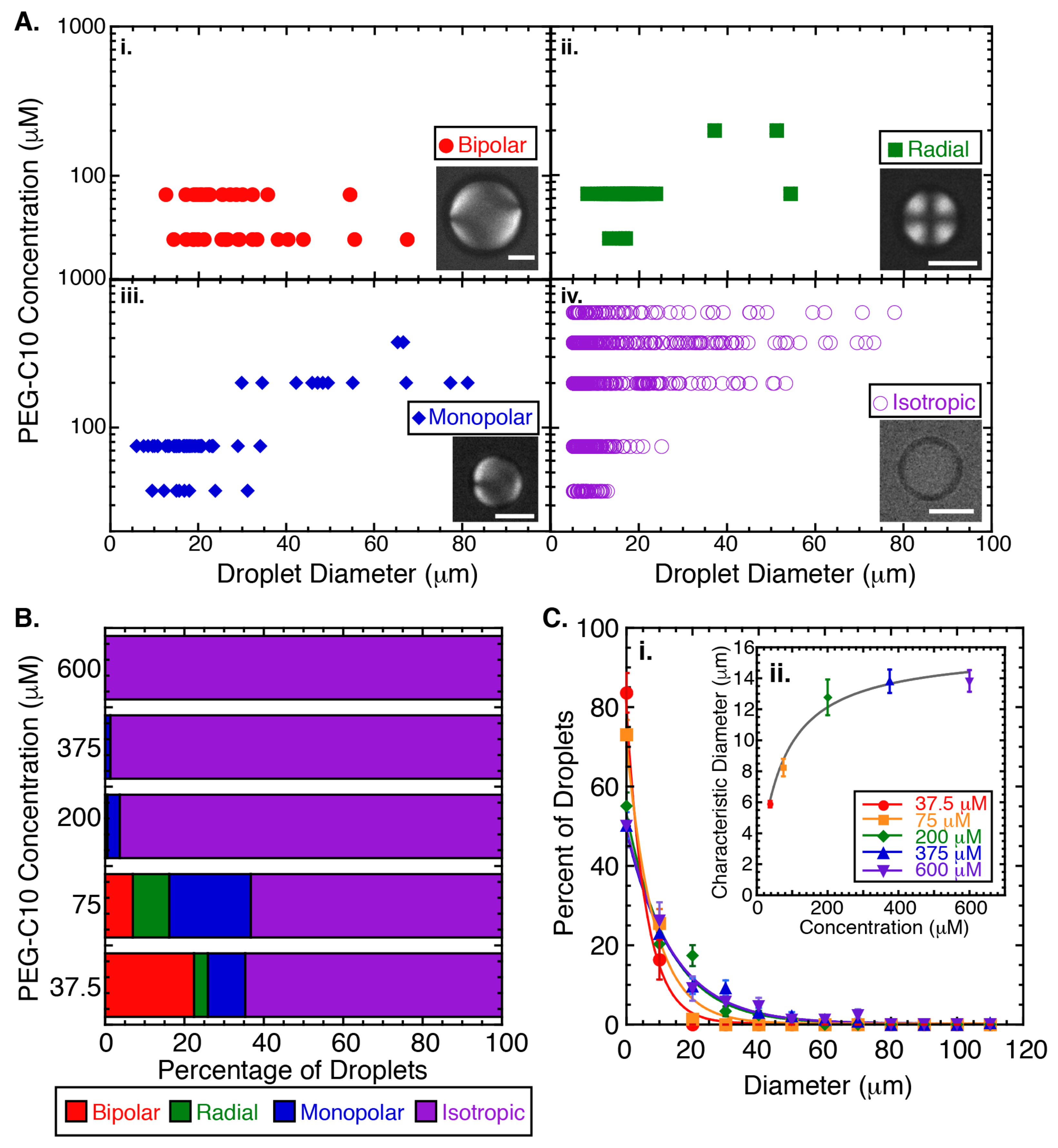 Molecules 27 00878 g002
