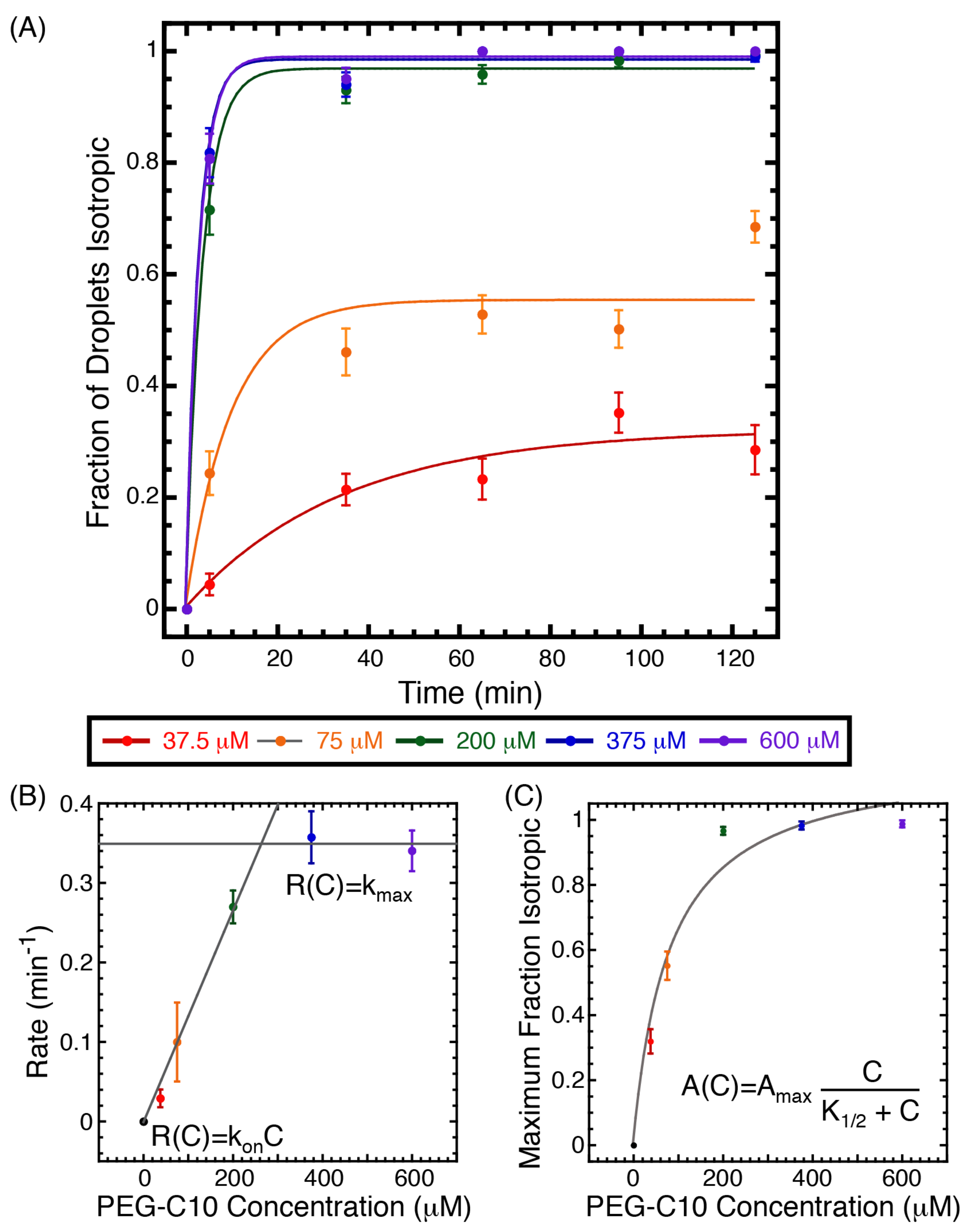 Molecules 27 00878 g003