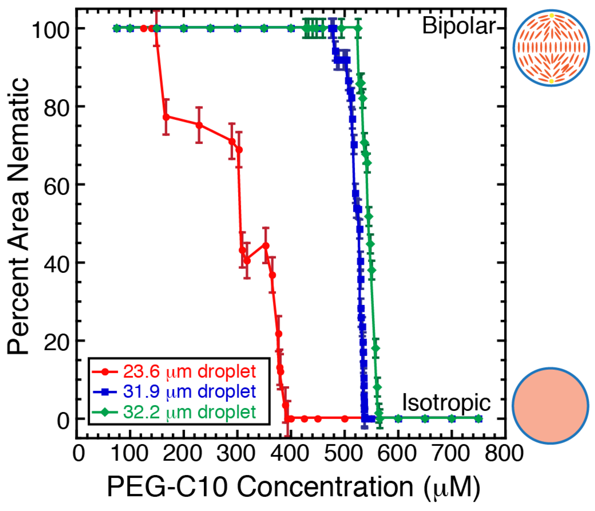 Molecules 27 00878 g005