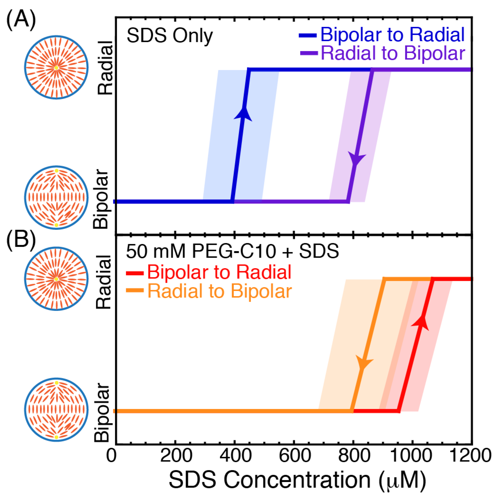 Molecules 27 00878 g007