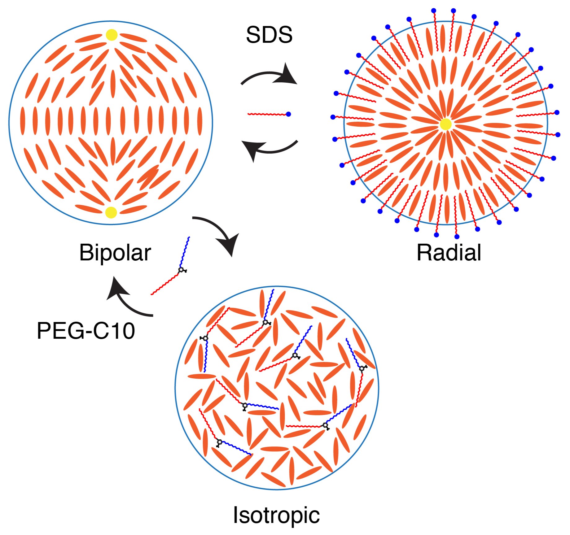 Molecules 27 00878 g008