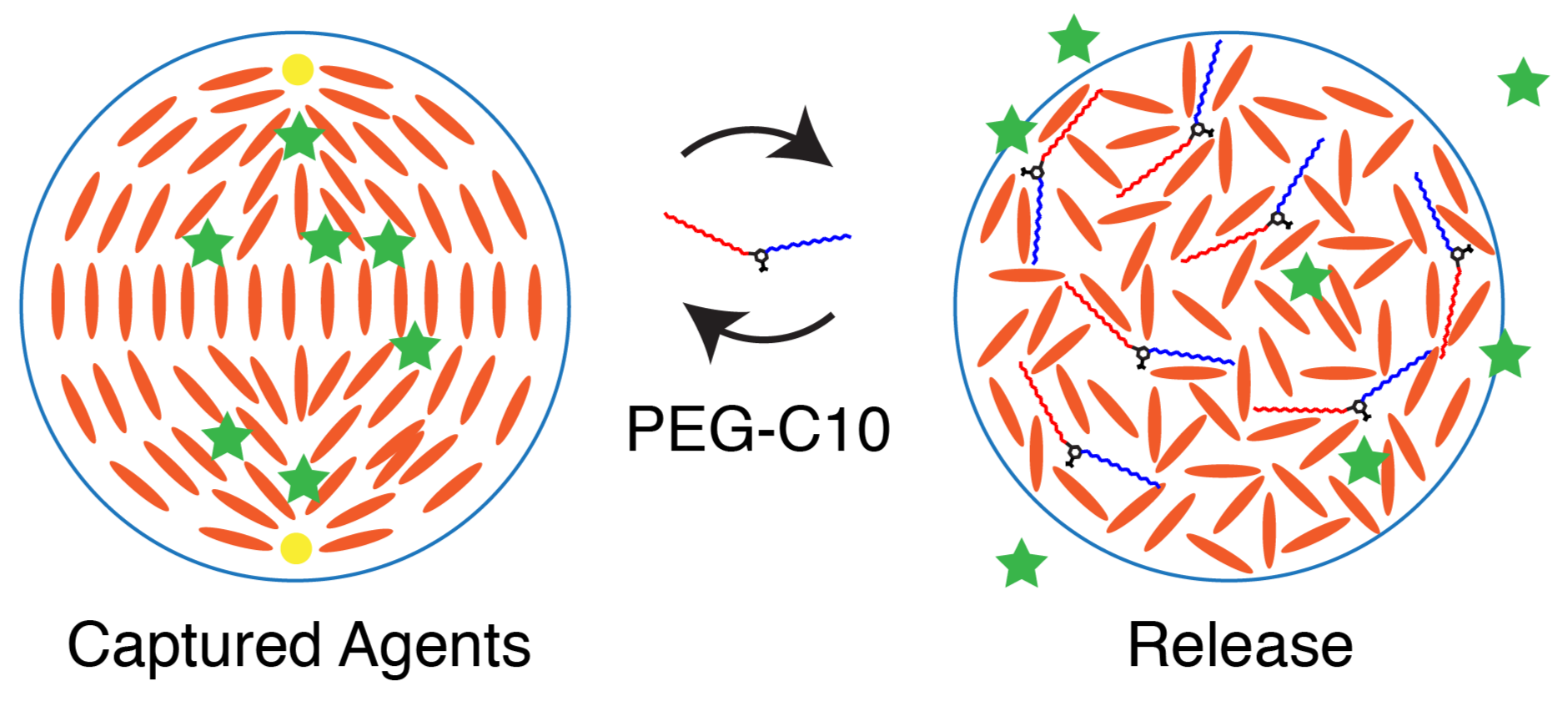 Molecules 27 00878 g009