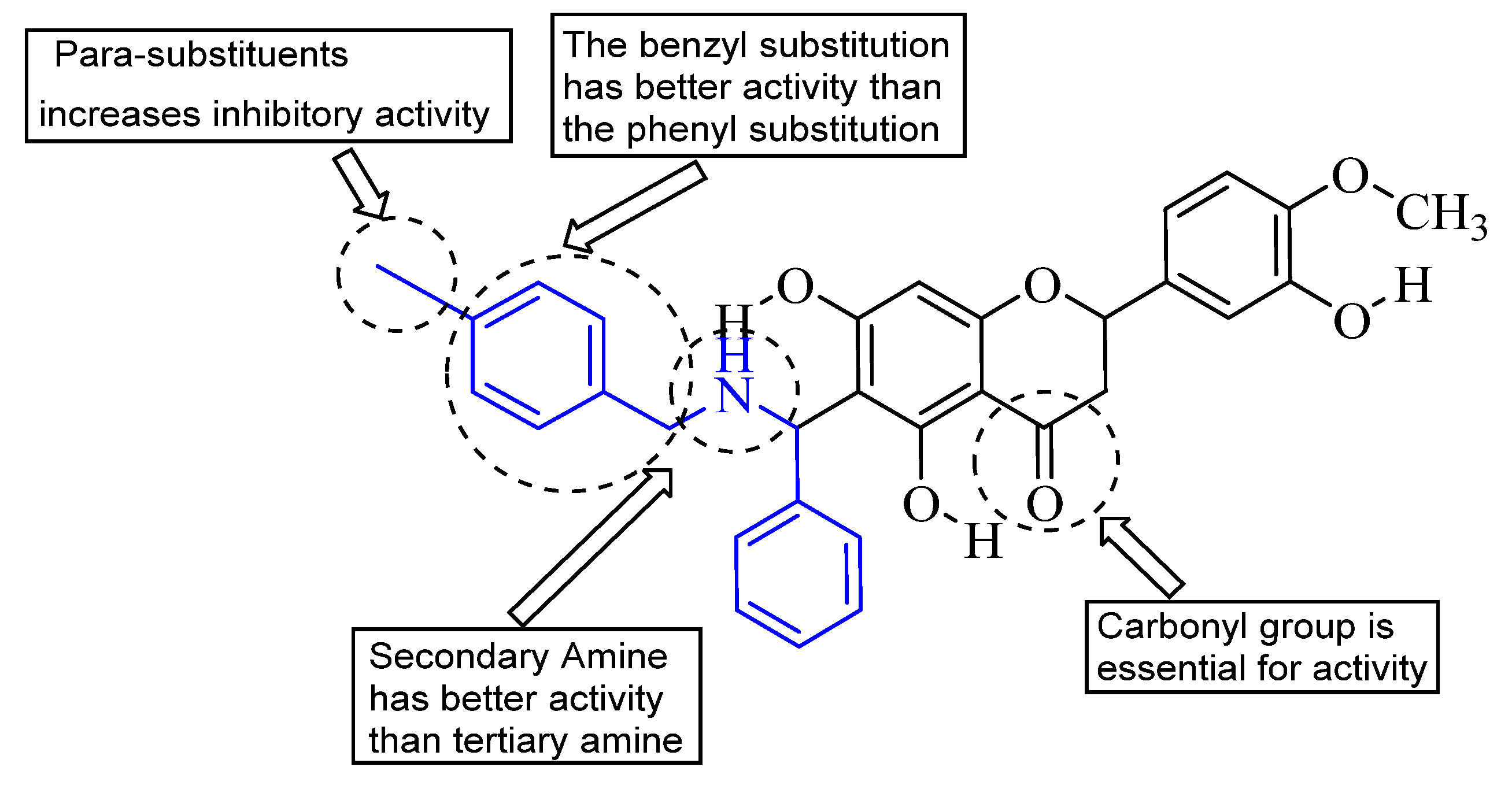 Molecules 27 00879 g002