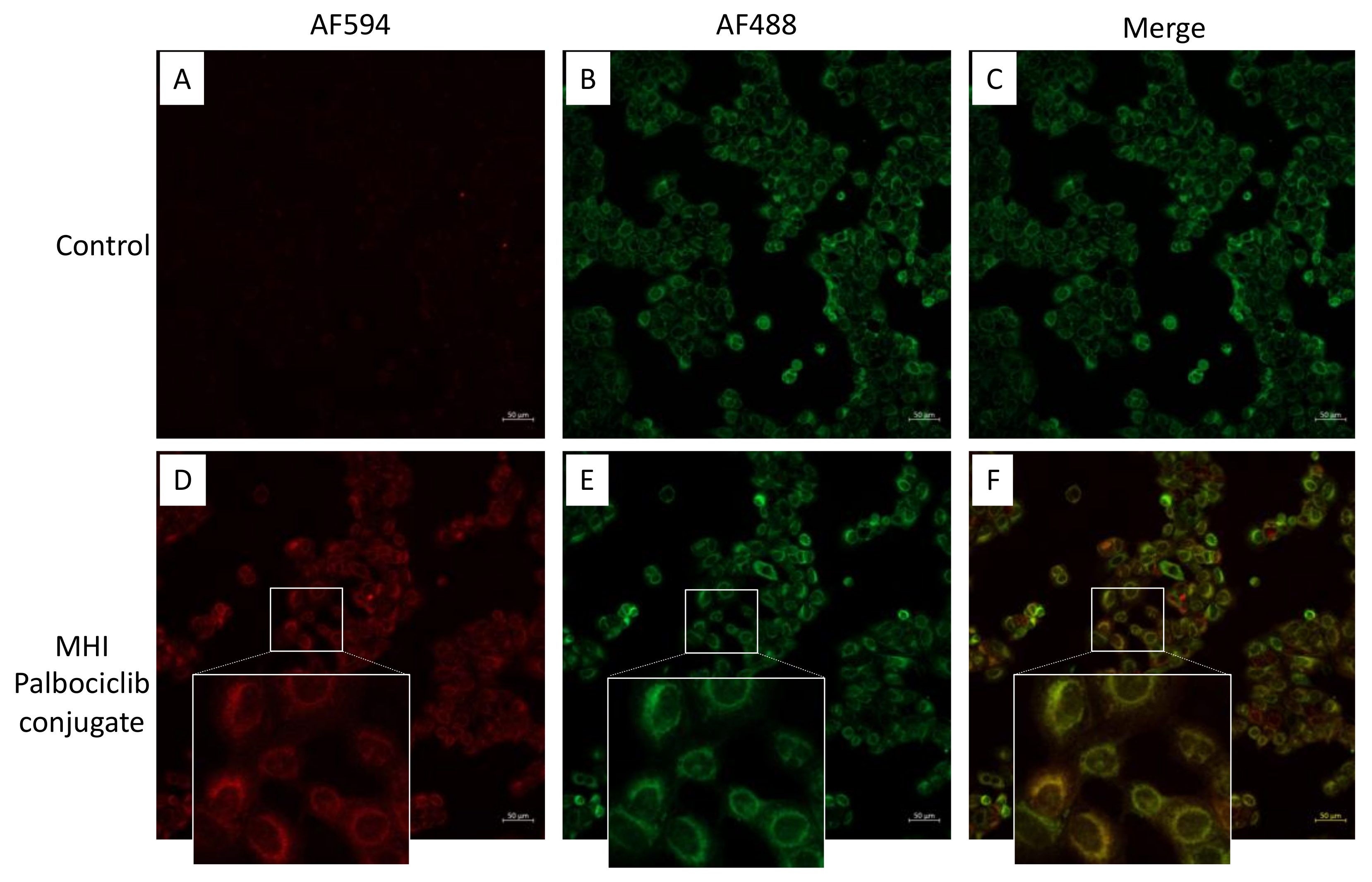 Molecules 27 00880 g006