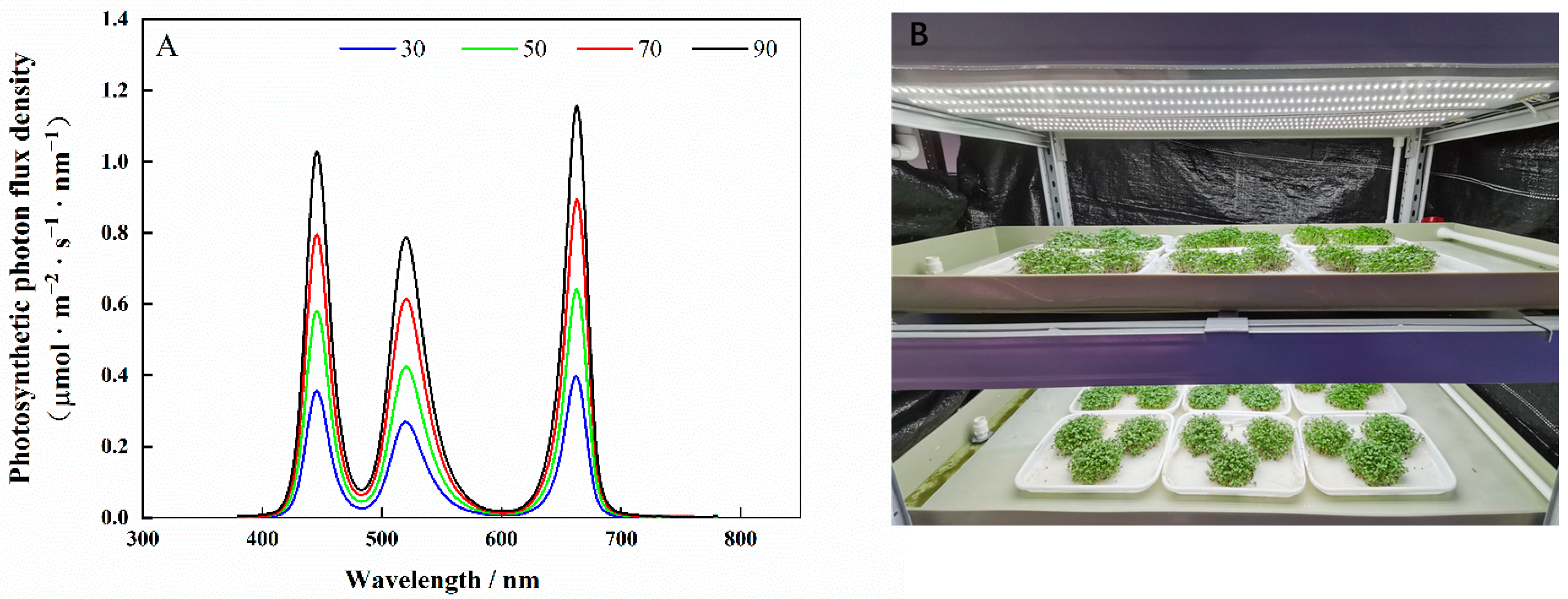 Molecules 27 00883 g012