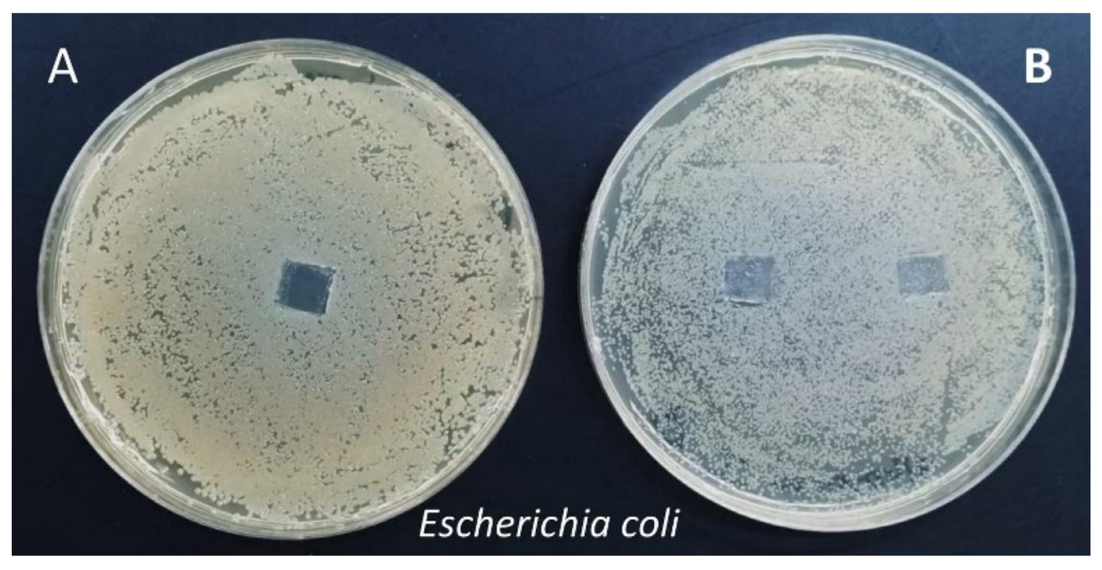 Molecules 27 00890 g009