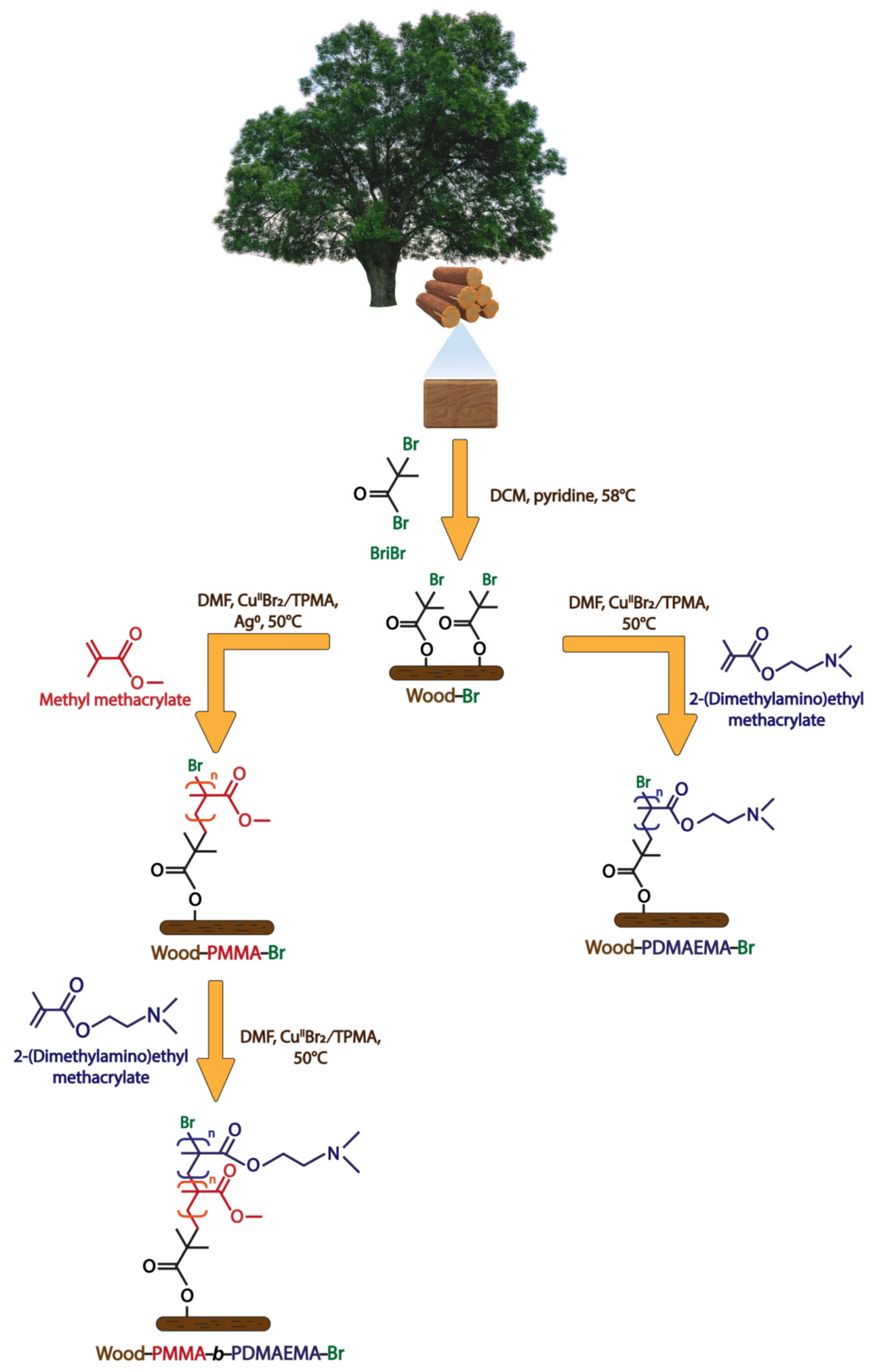 Molecules 27 00890 sch001