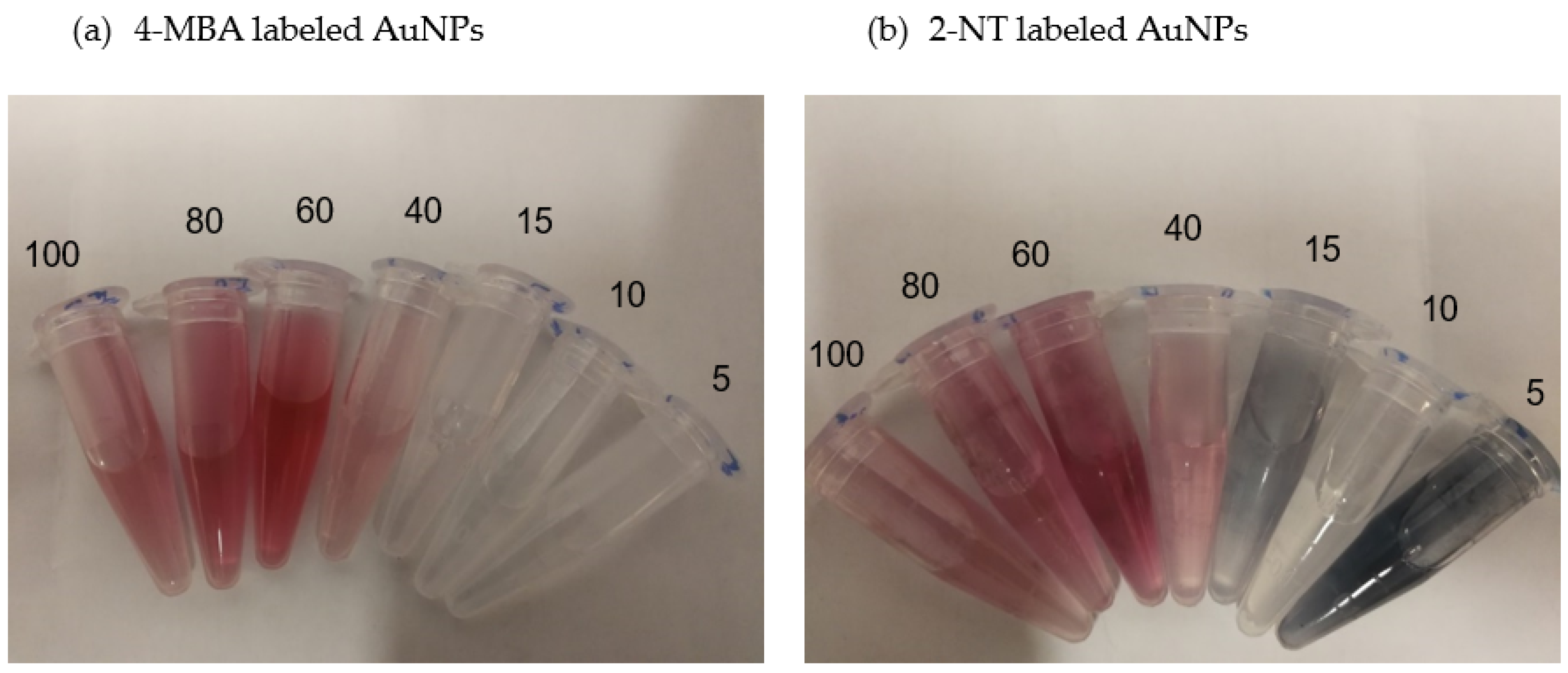 Molecules 27 00892 g001a
