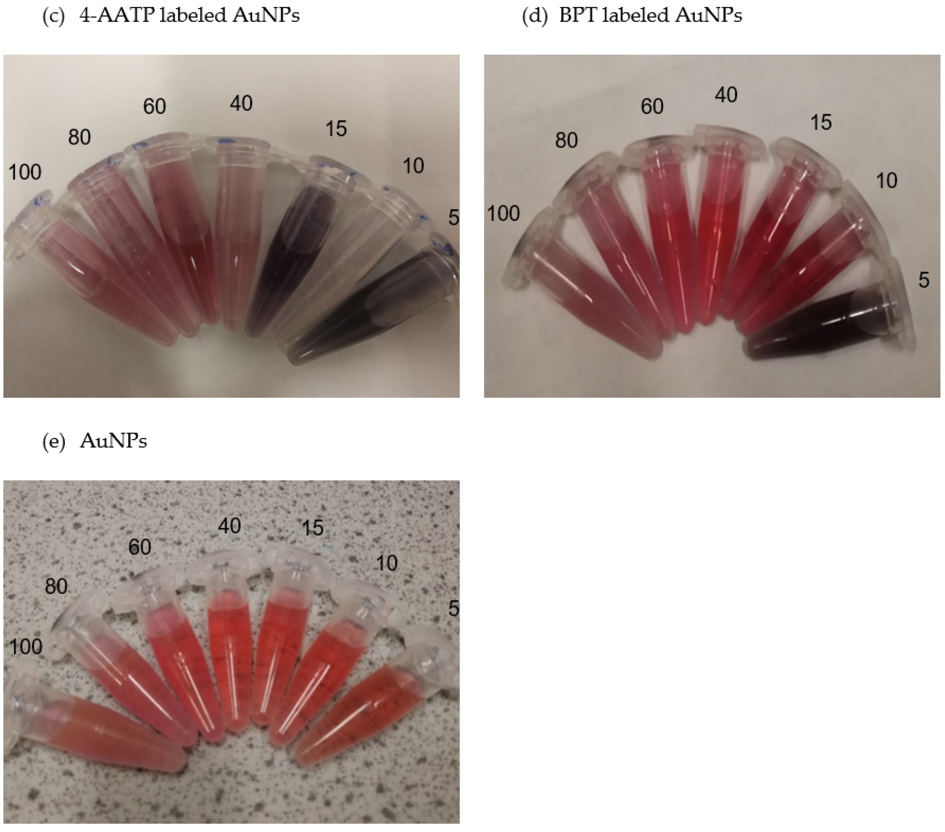 Molecules 27 00892 g001b