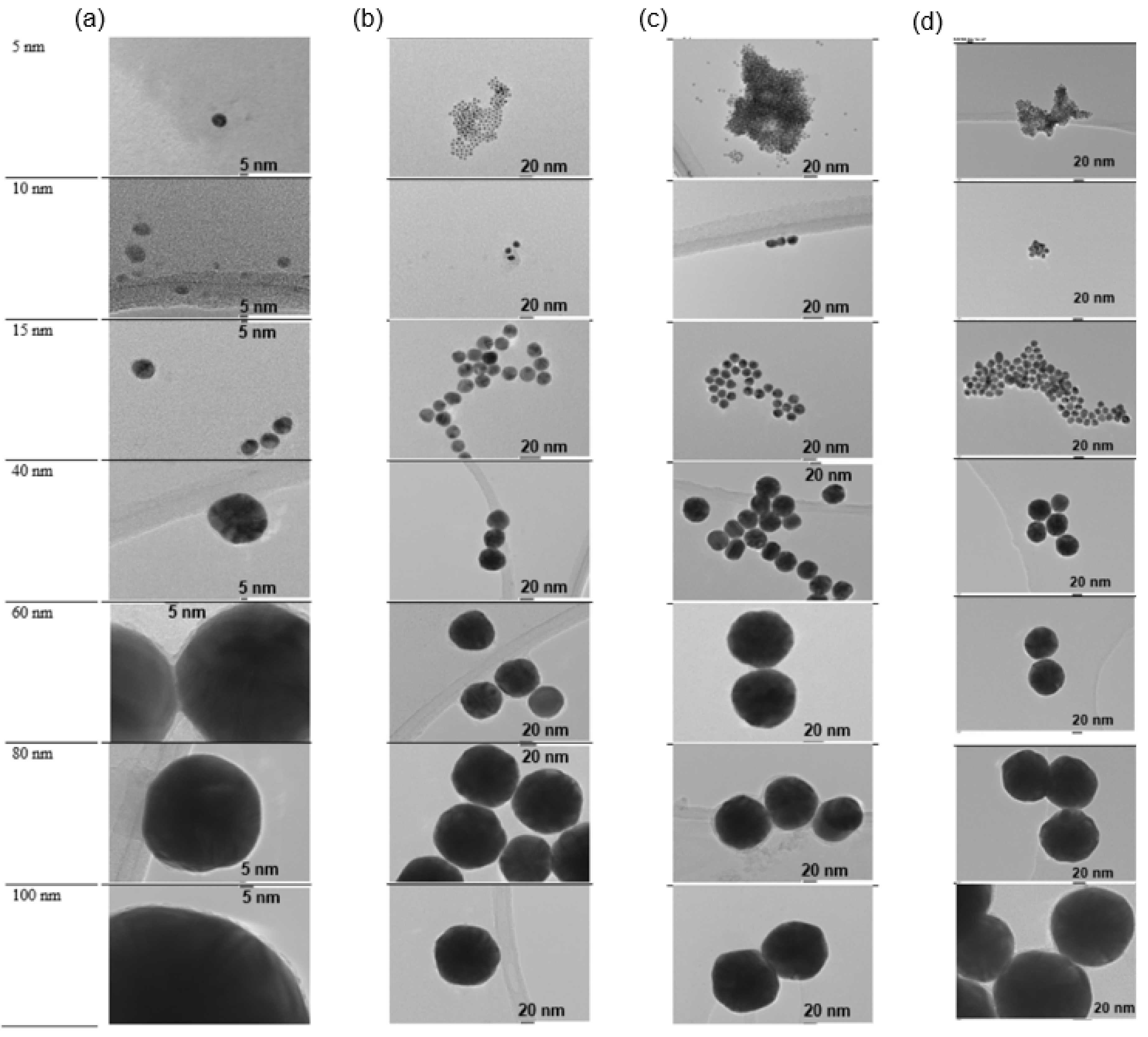 Molecules 27 00892 g002
