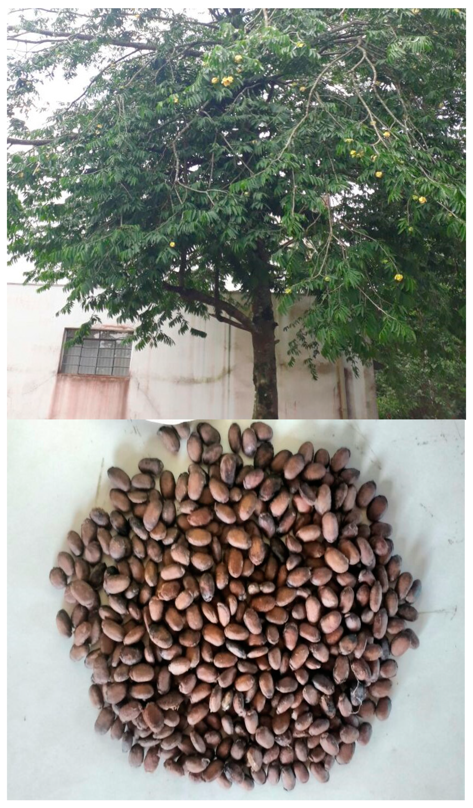 Molecules 27 00893 g001