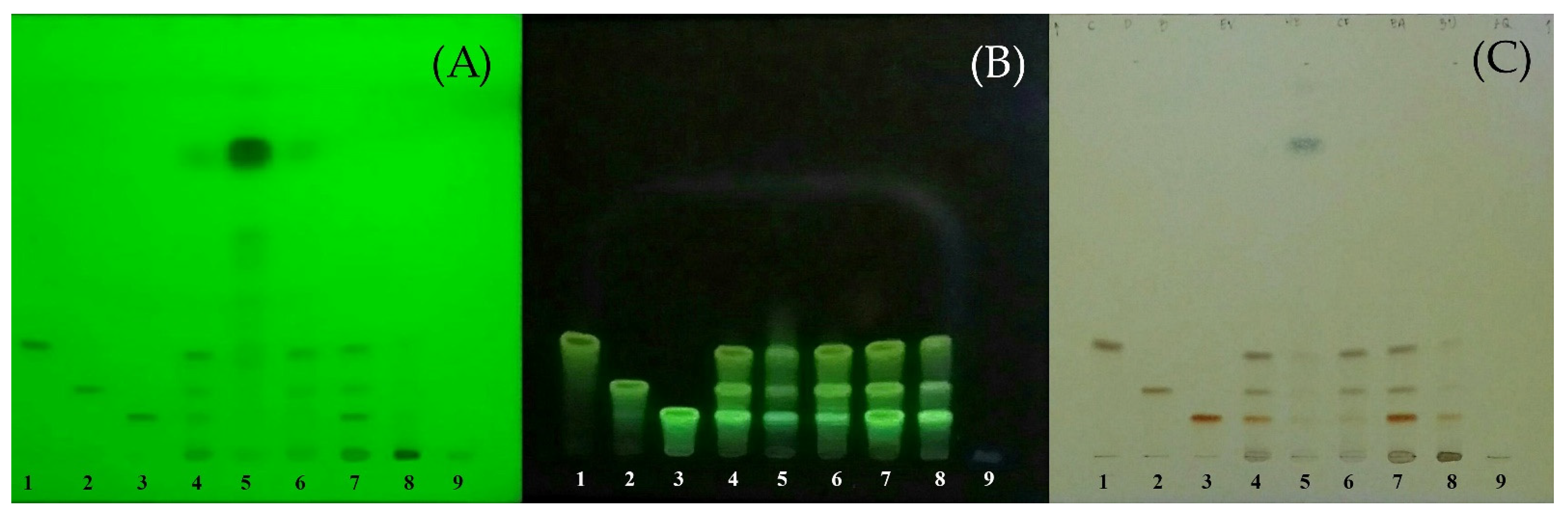 Molecules 27 00896 g001 Molecules 27 00896 g001