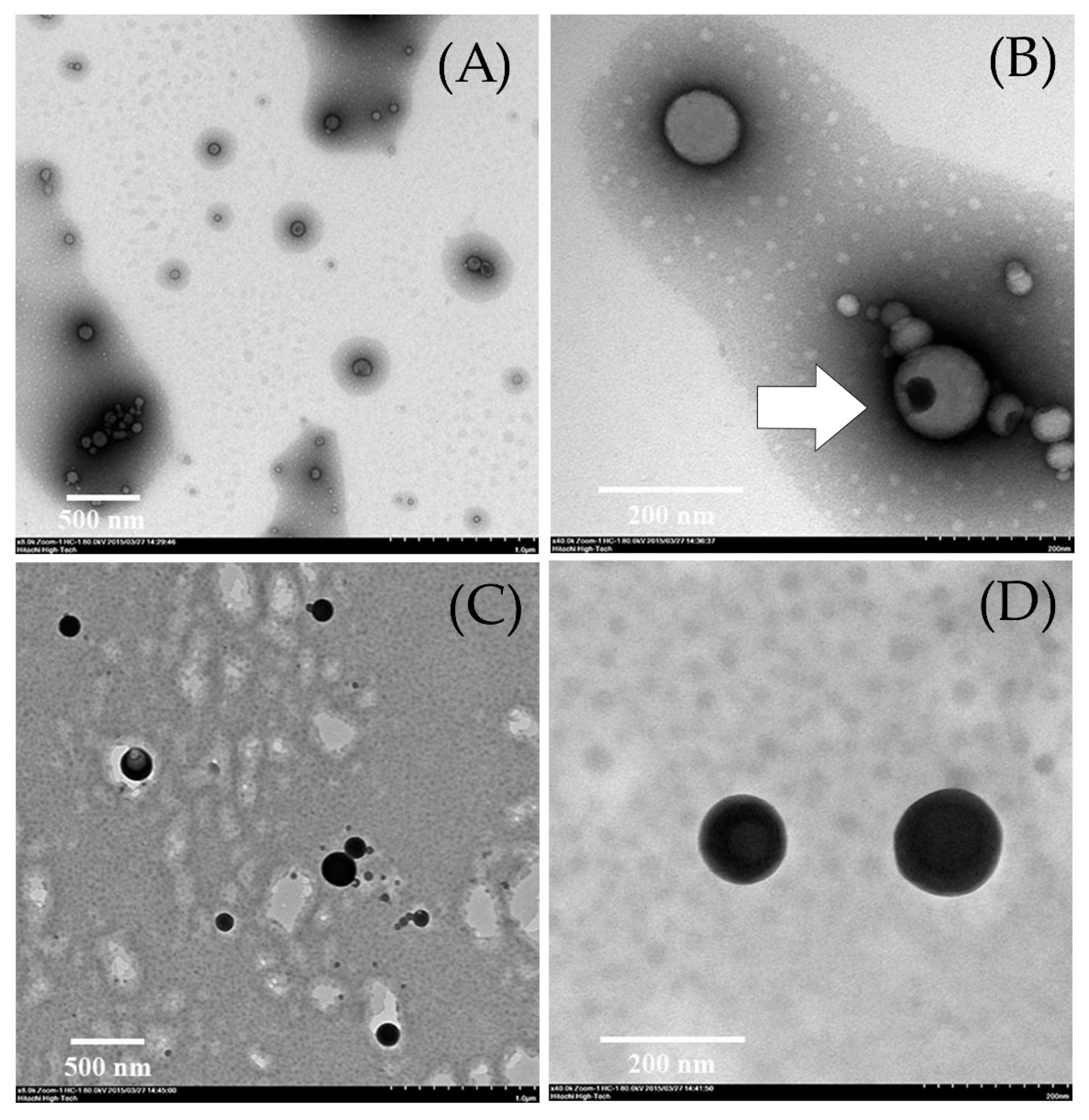 Molecules 27 00896 g004 Molecules 27 00896 g004