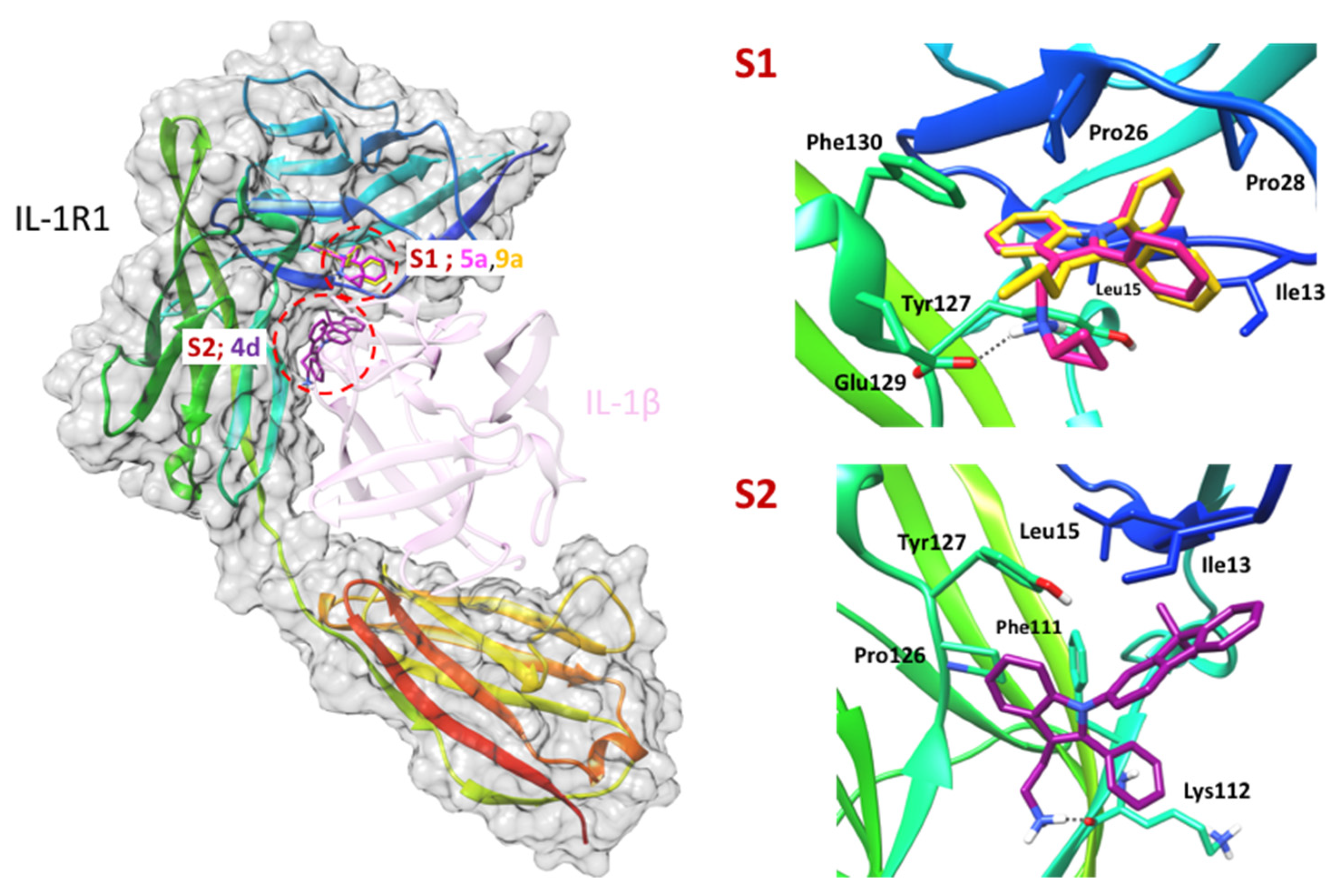 Molecules 27 00899 g005