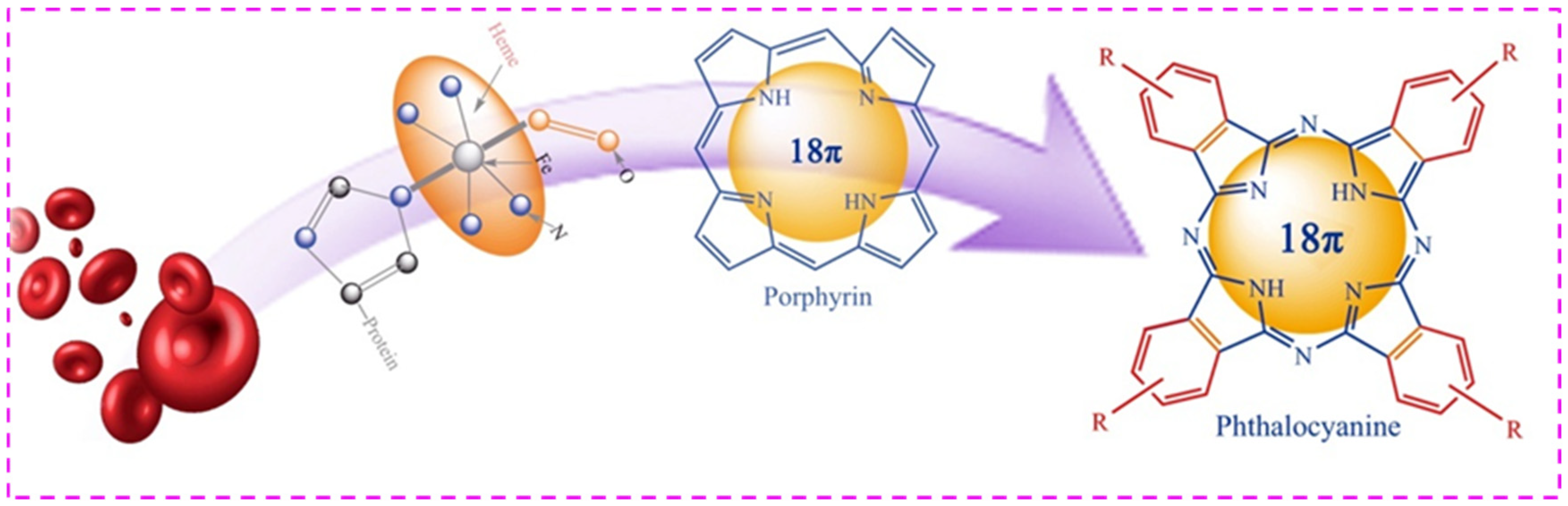 Molecules 27 00904 g001