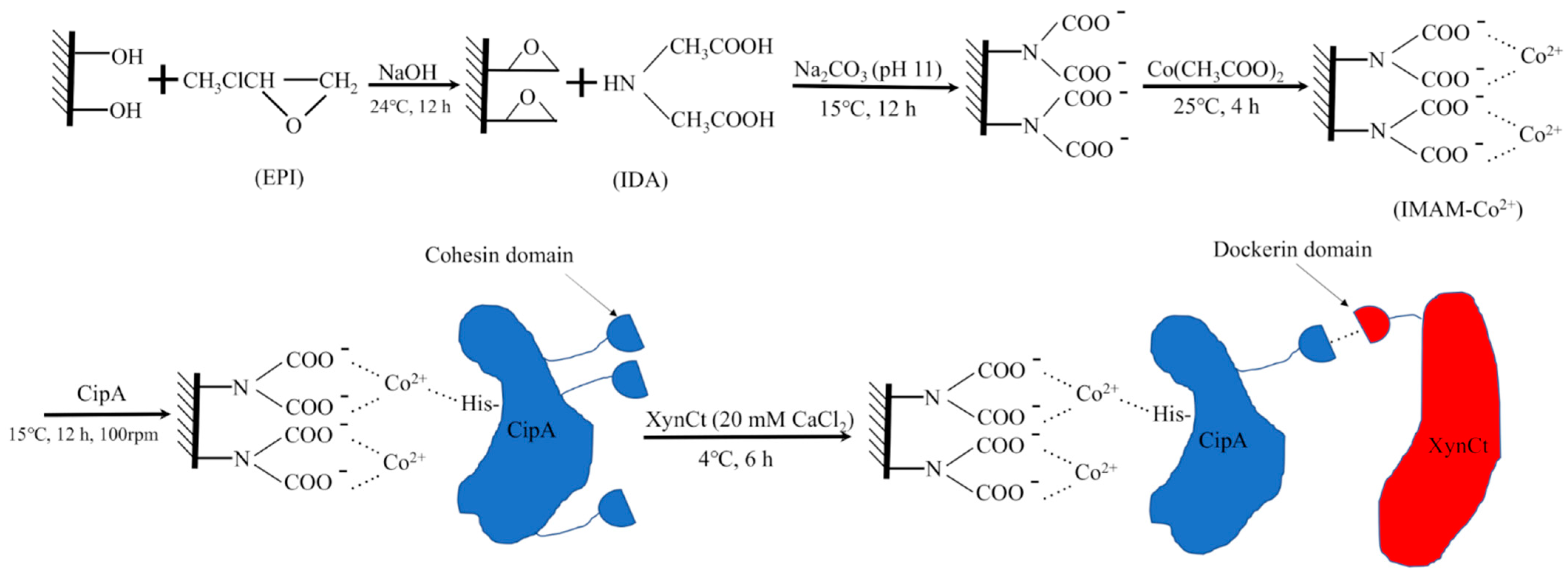 Molecules 27 00907 g002