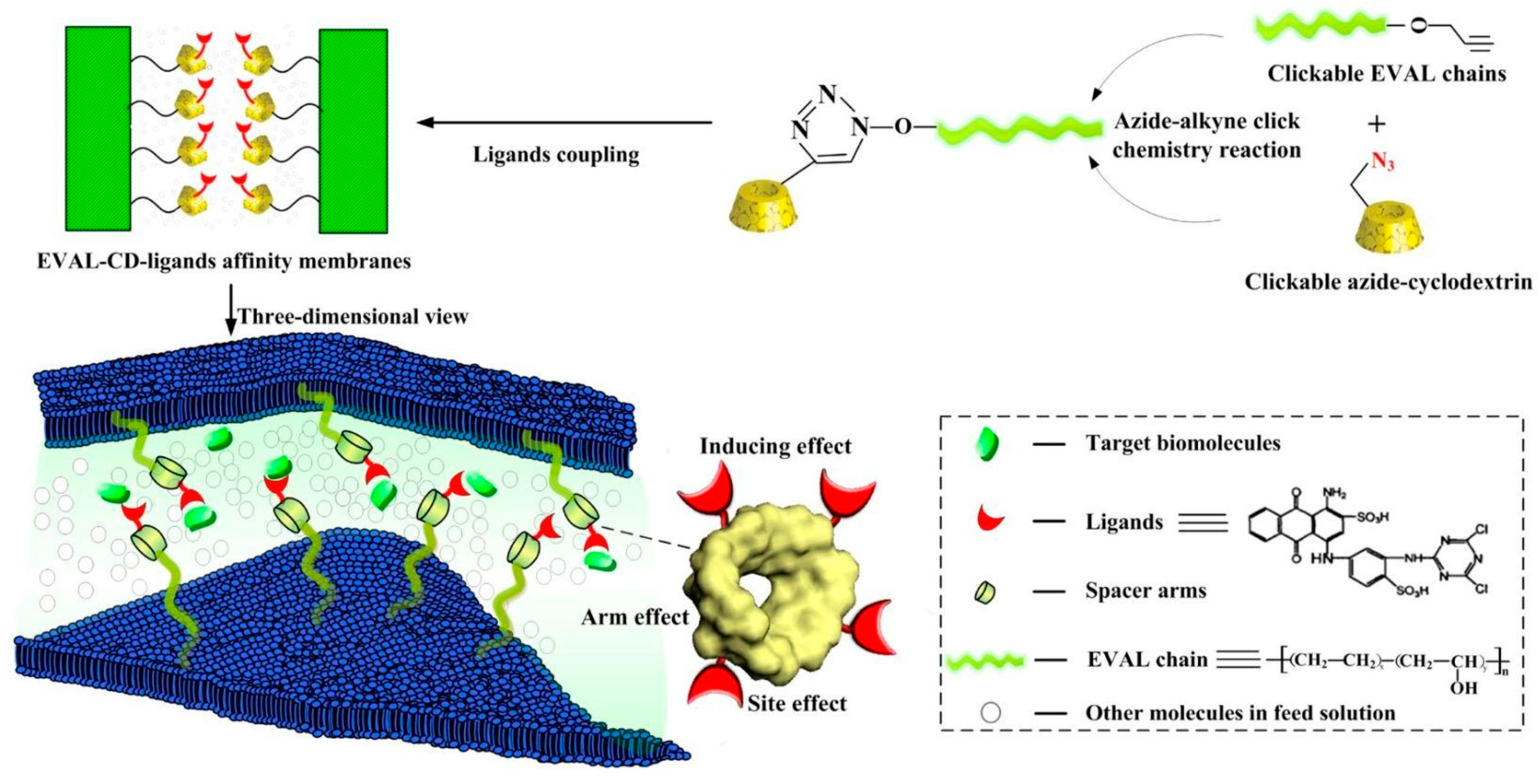 Molecules 27 00907 g003