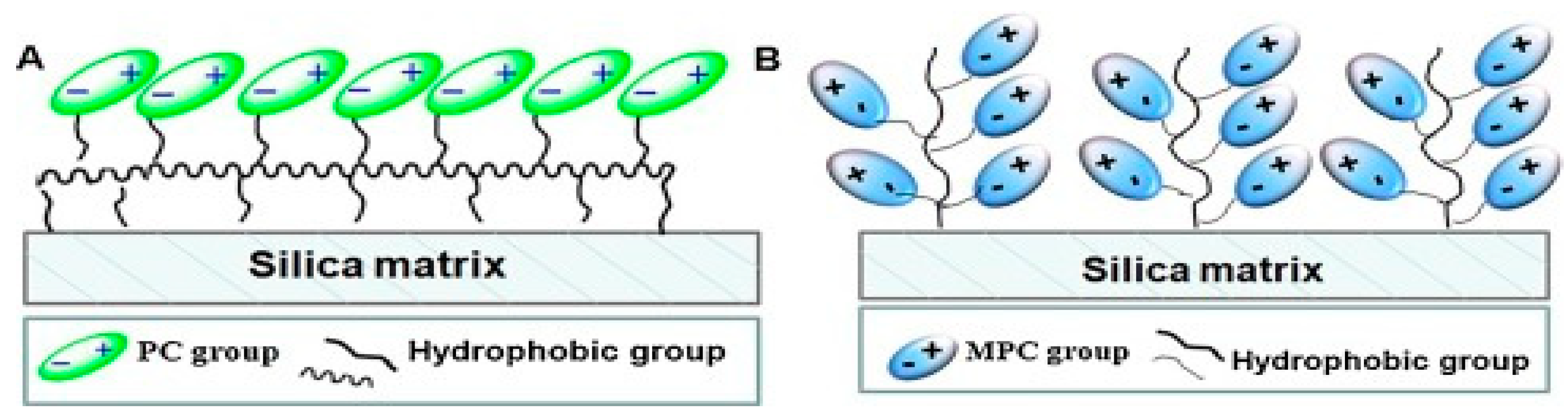 Molecules 27 00907 g004
