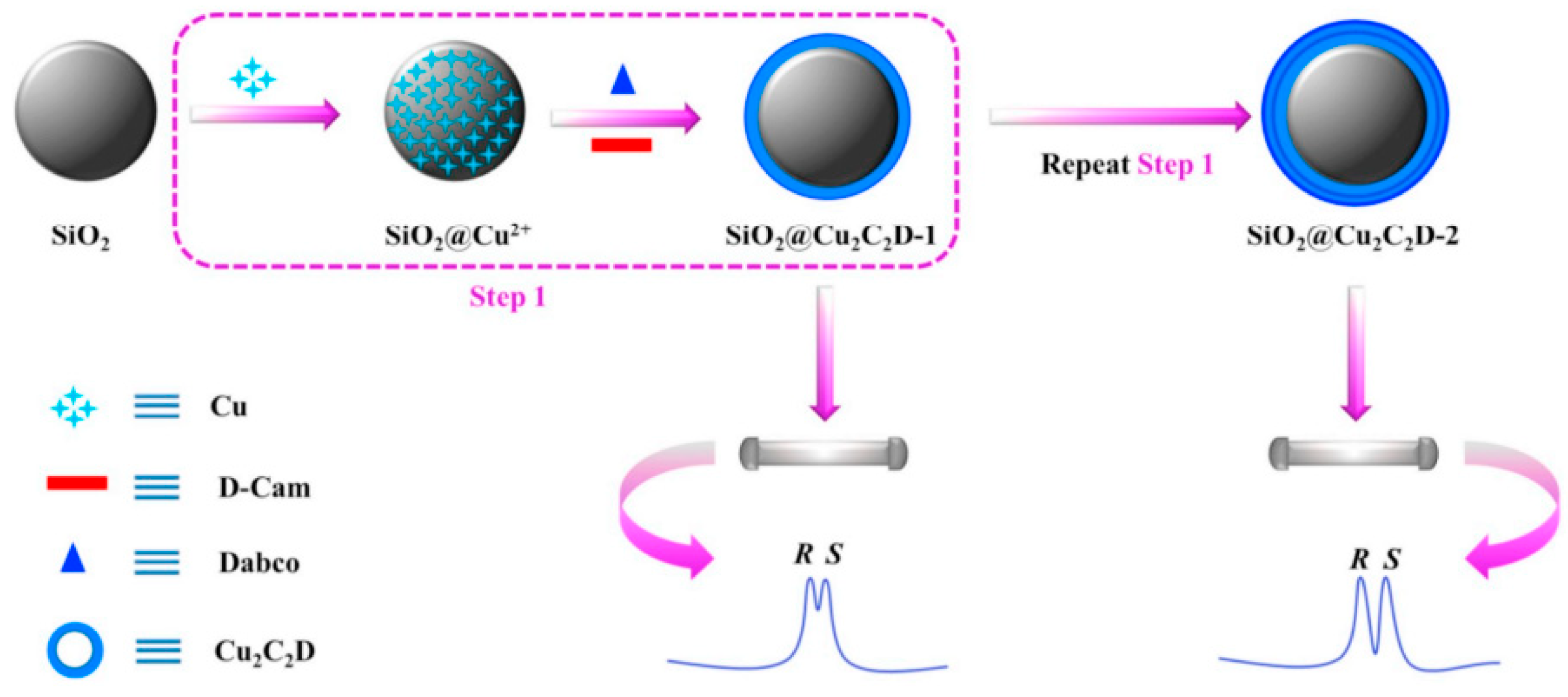 Molecules 27 00907 g006