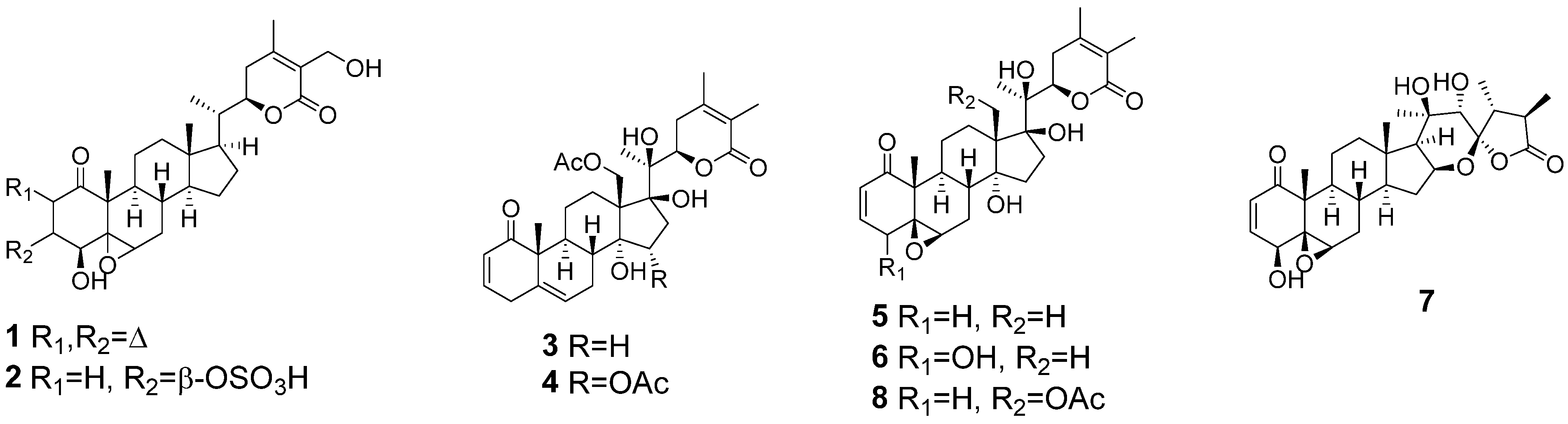 Molecules 27 00909 g001