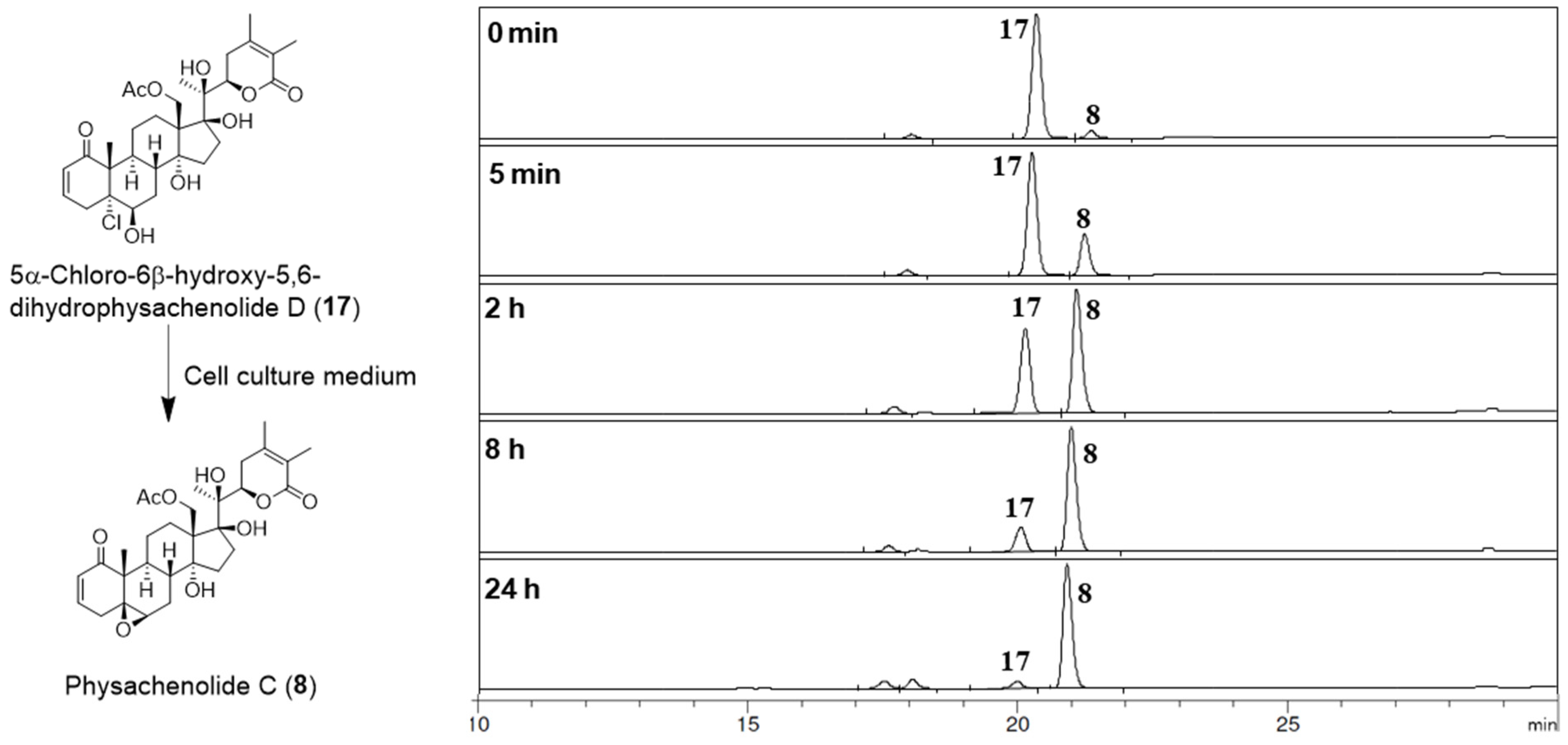 Molecules 27 00909 g003