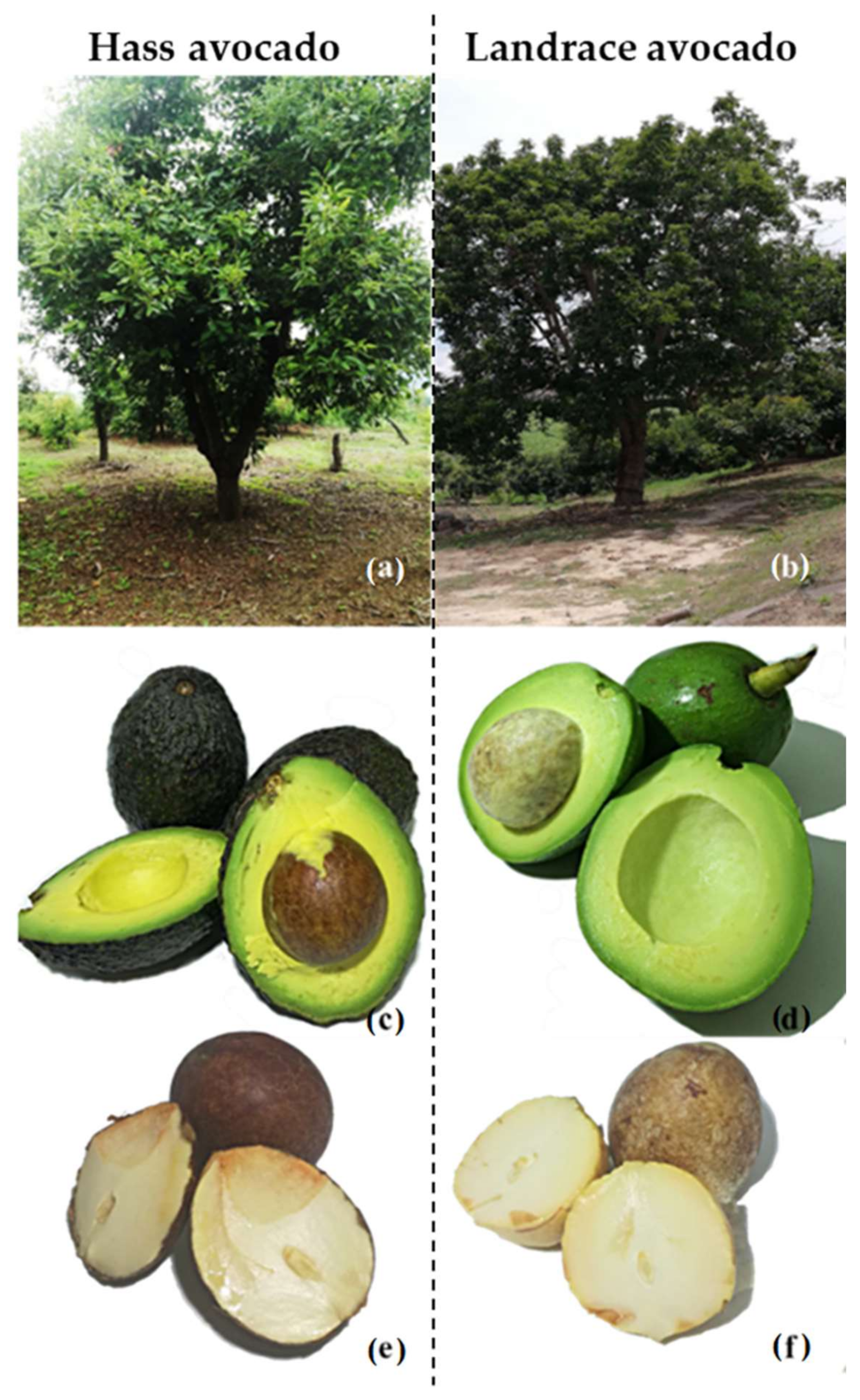 Molecules 27 00910 g007