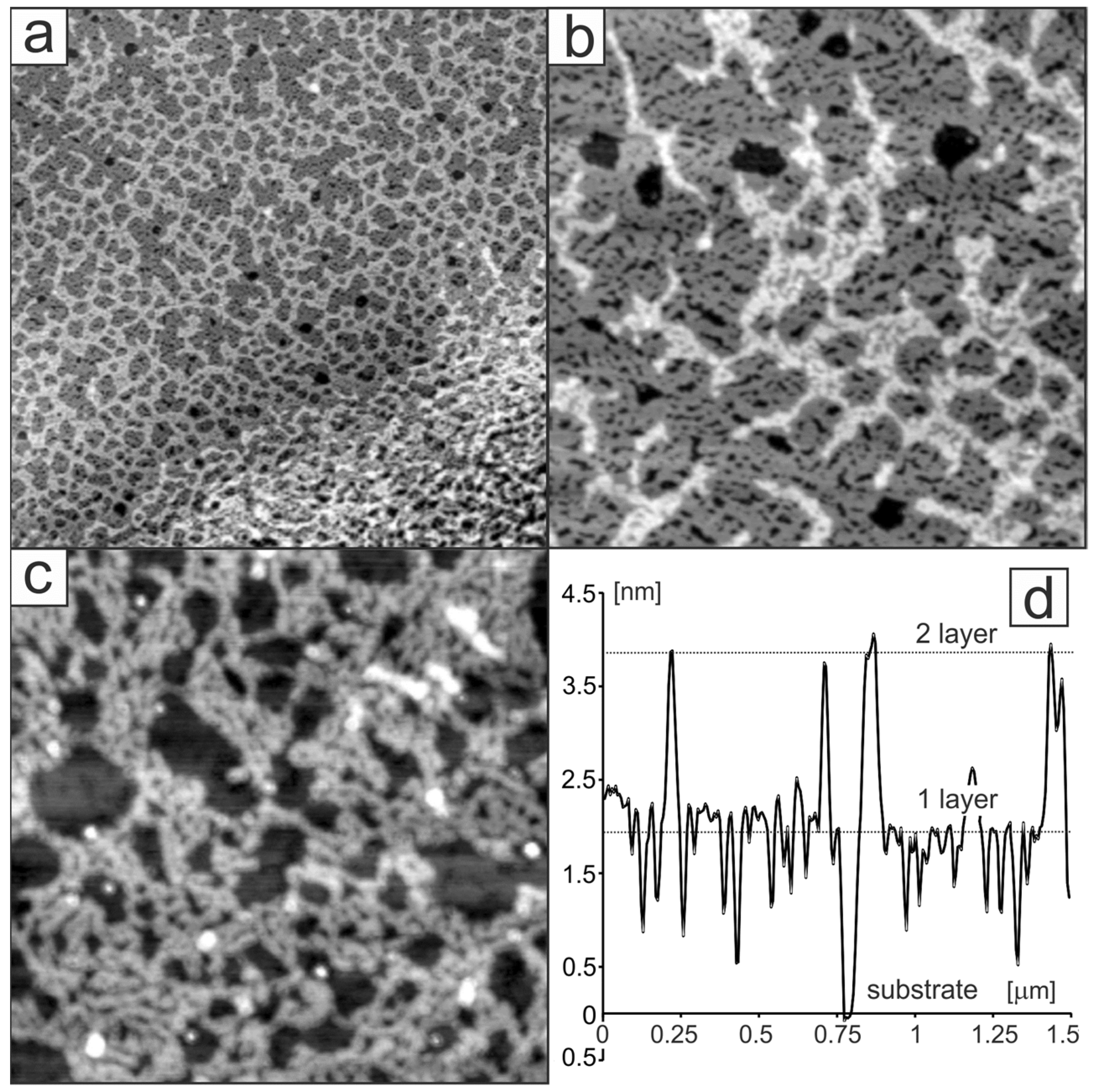 Molecules 27 00915 g004