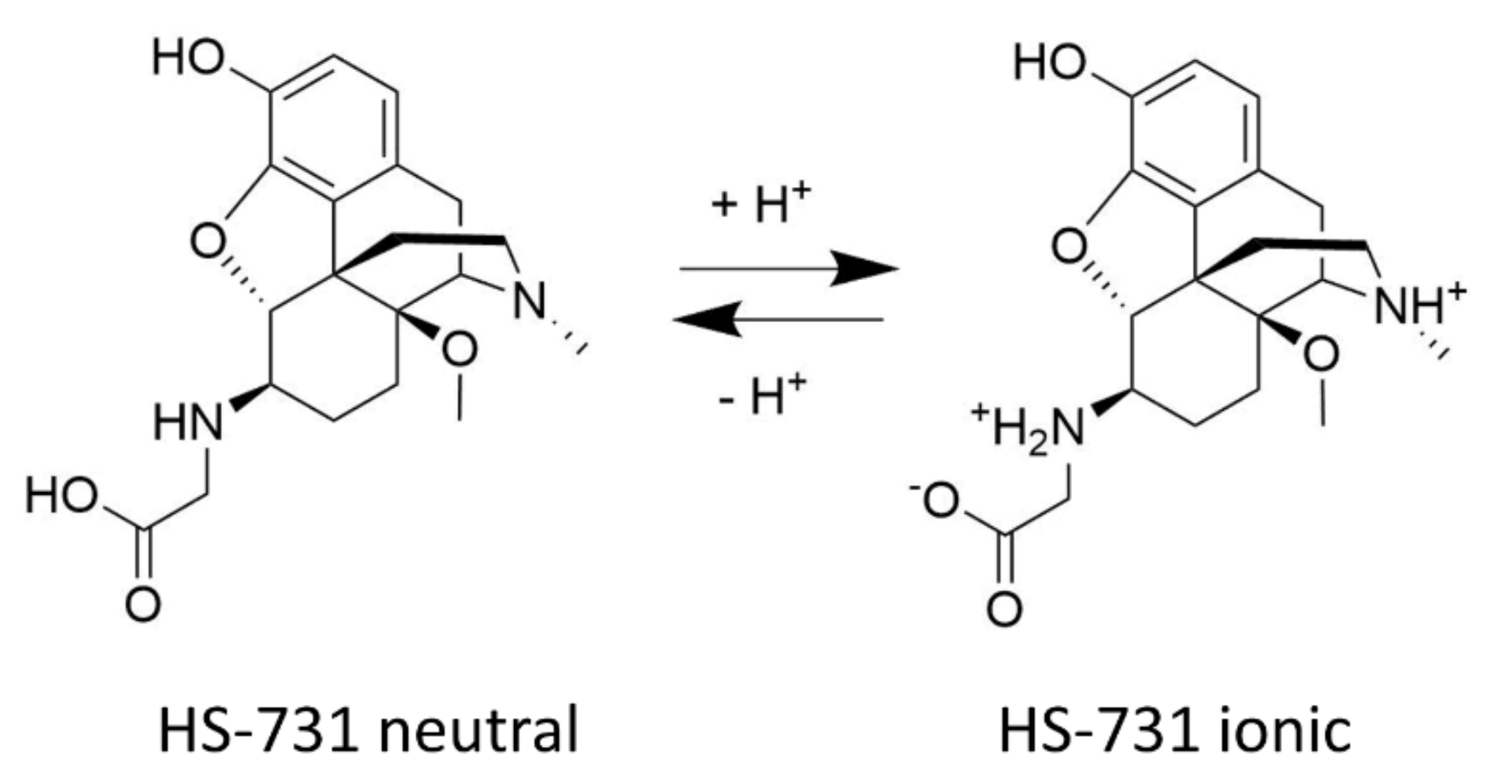 Molecules 27 00919 g001