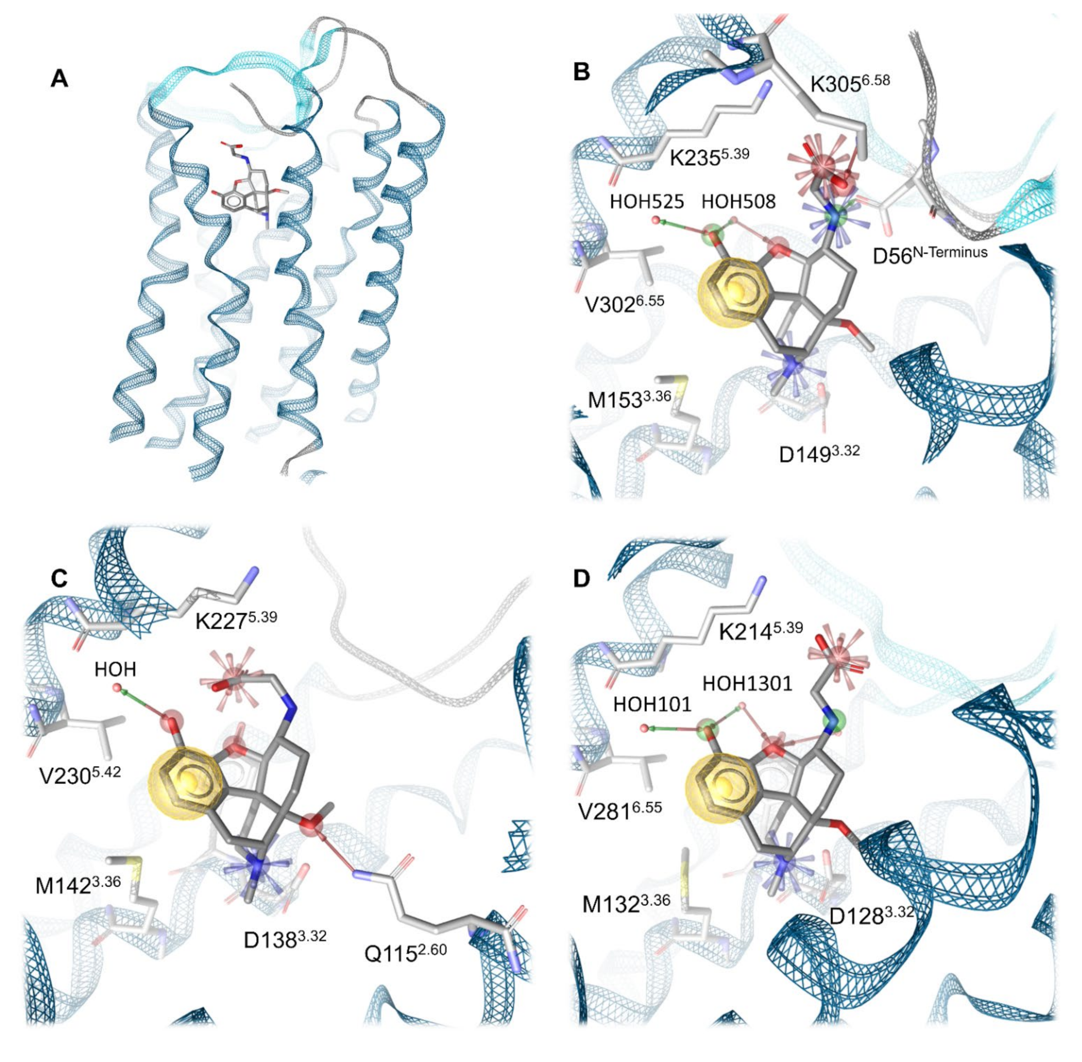 Molecules 27 00919 g005